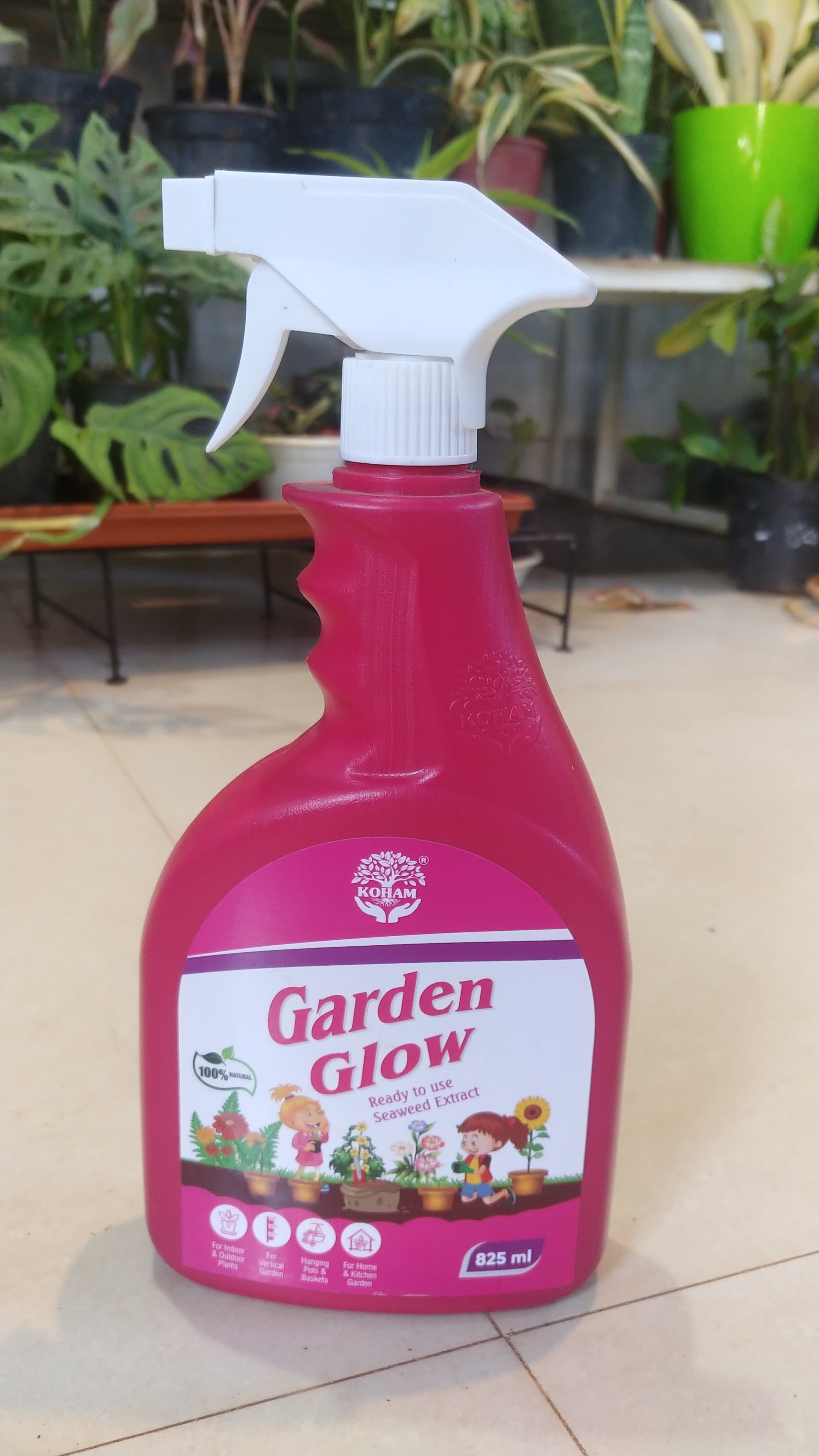 Garden Glow