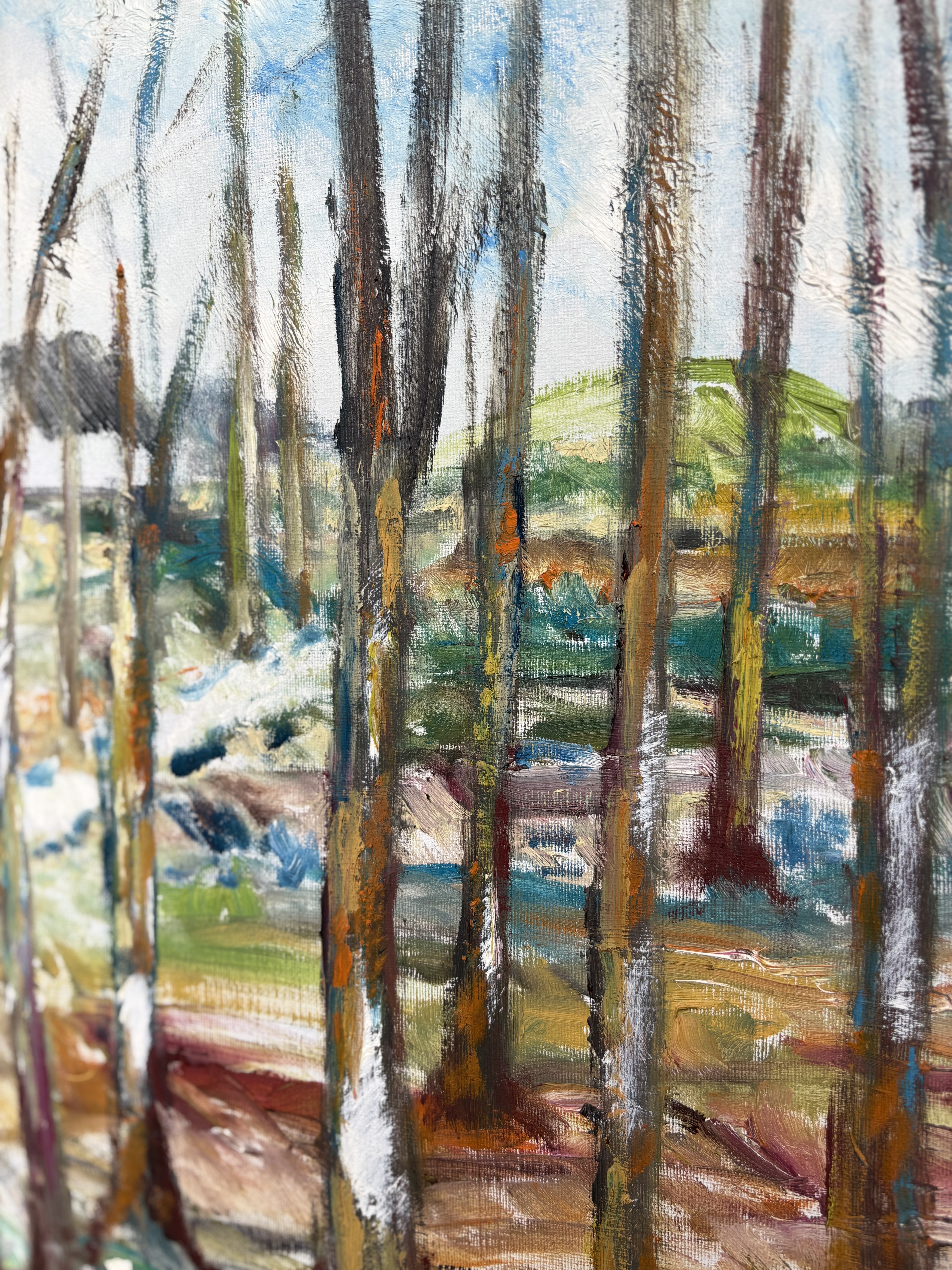 LANDSCAPE