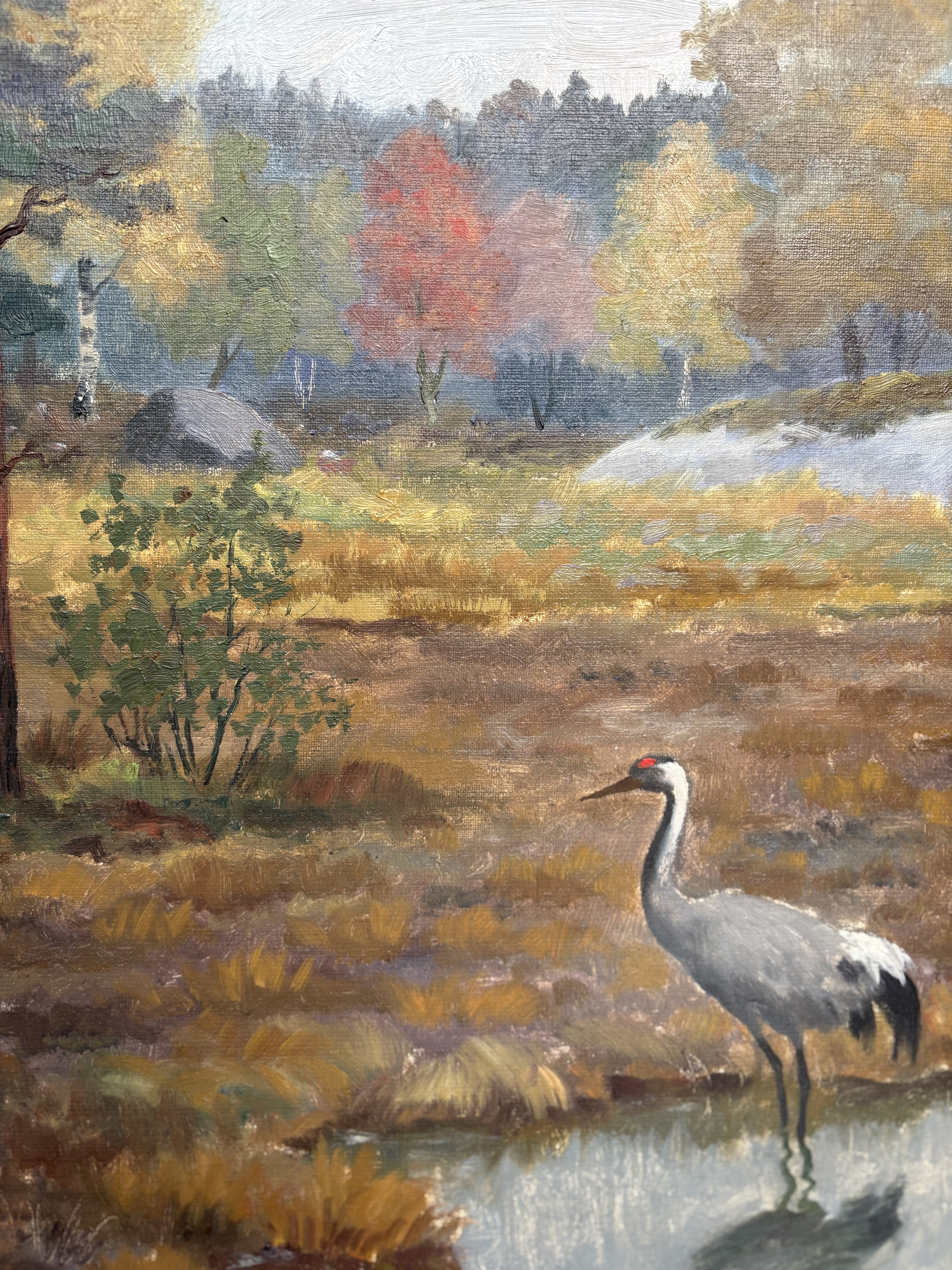 LANDSCAPE