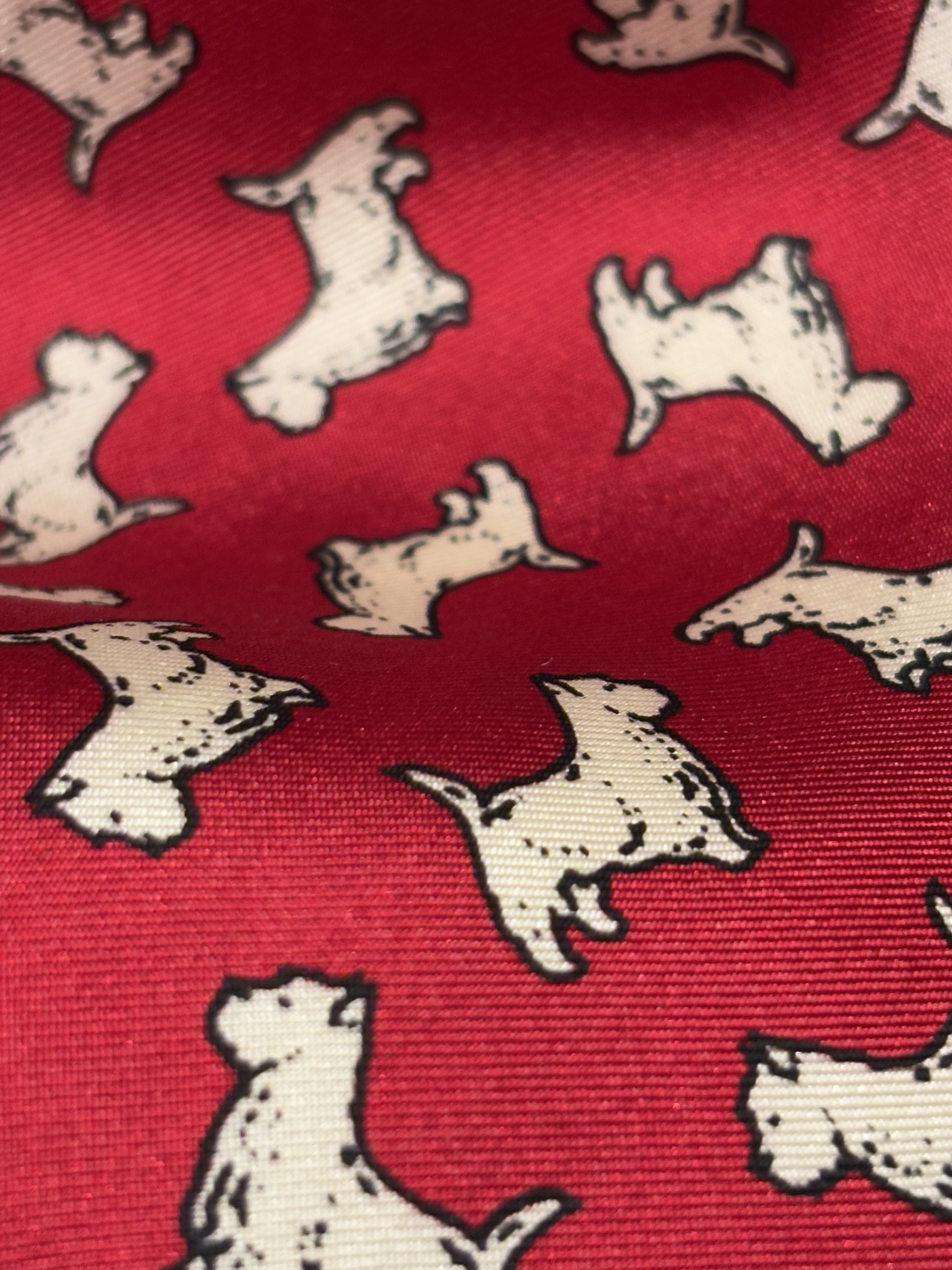 Cravate Rouge “Terrier Club”