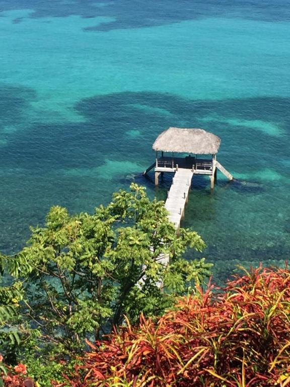 Ponton à Nosy Be🌴🐬🧜‍♀️