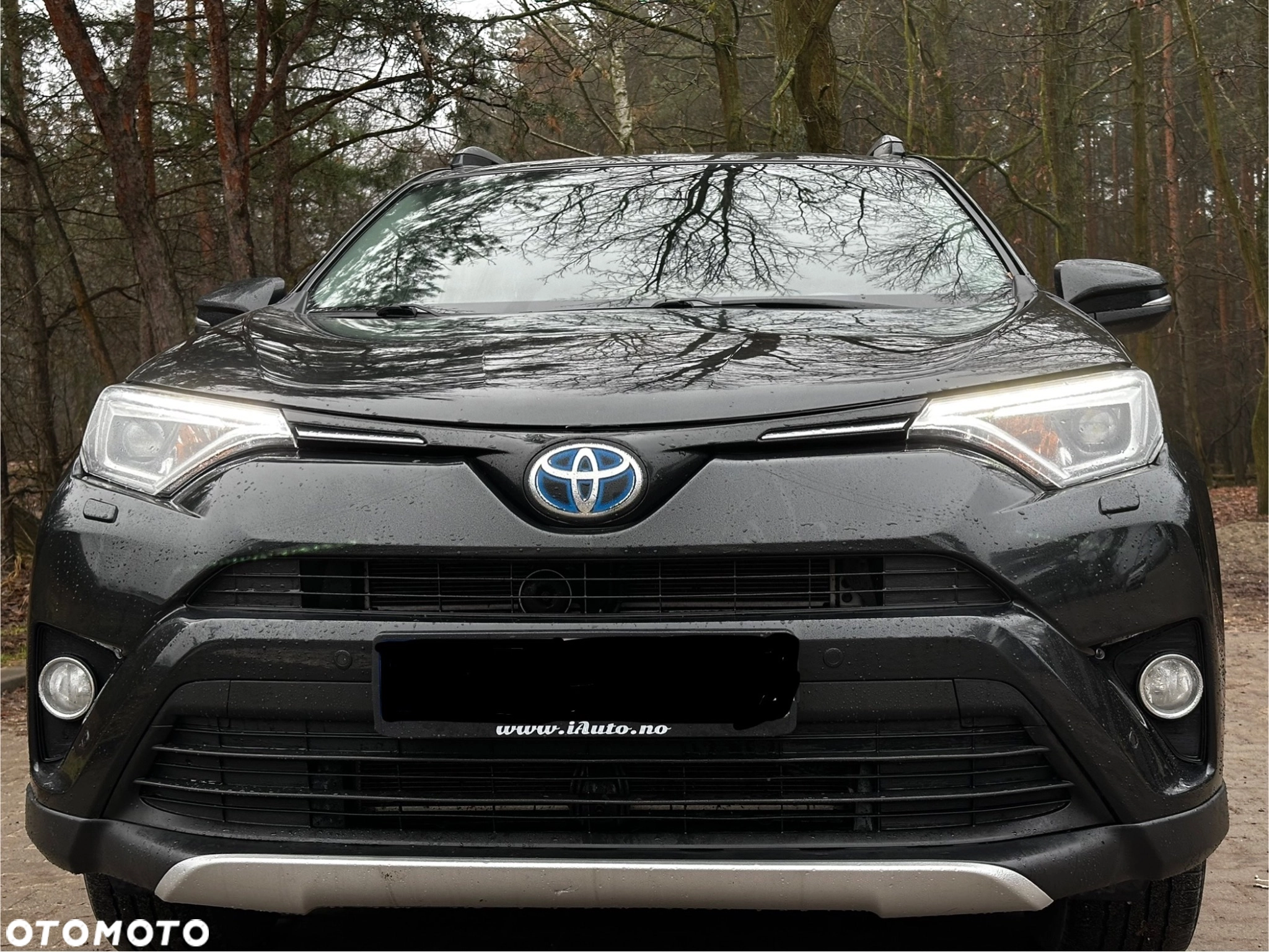 Toyota RAV4 Komfort, Oszczędność, Nowoczesność