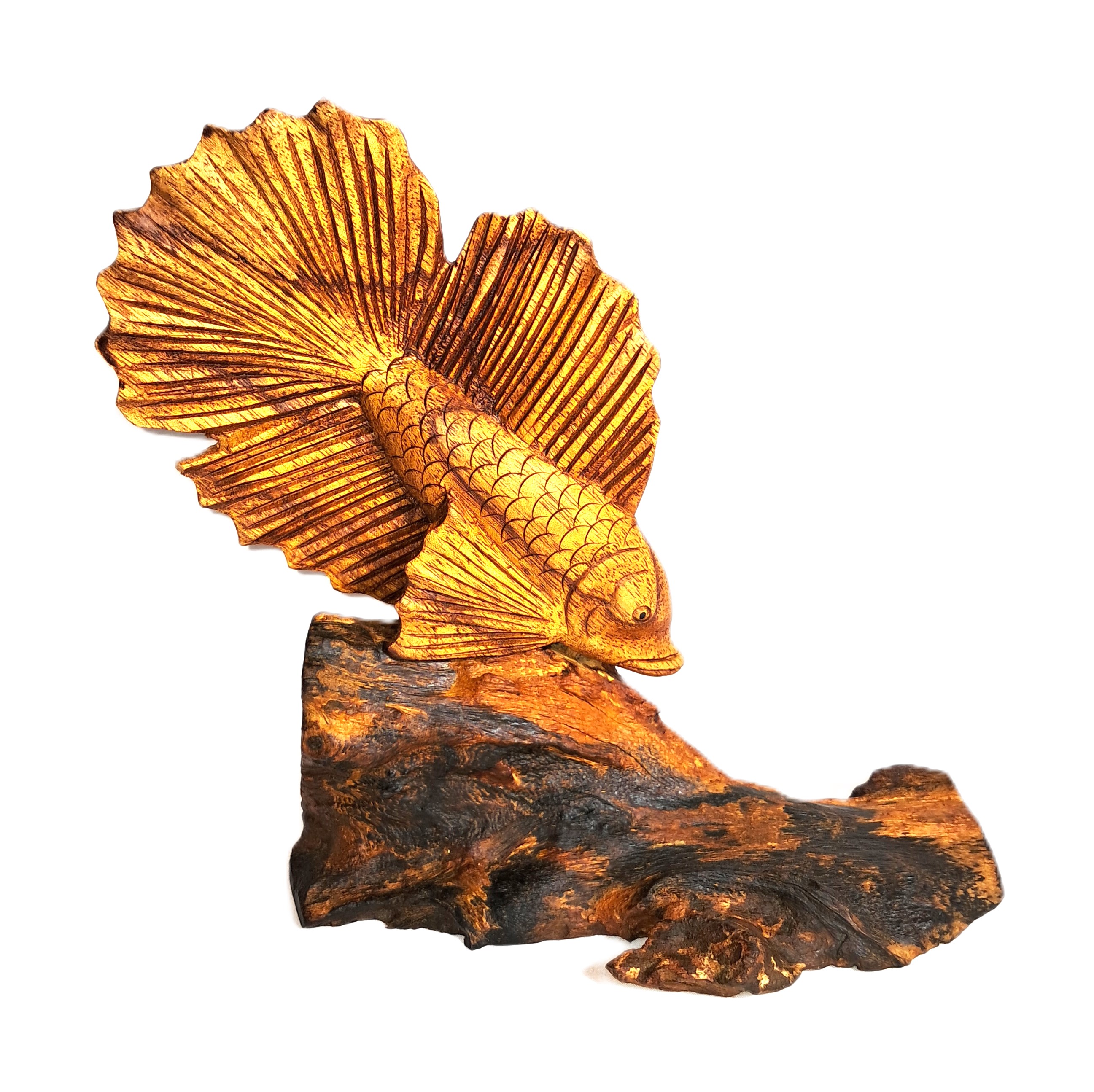 Betta fighting fish wood carving.