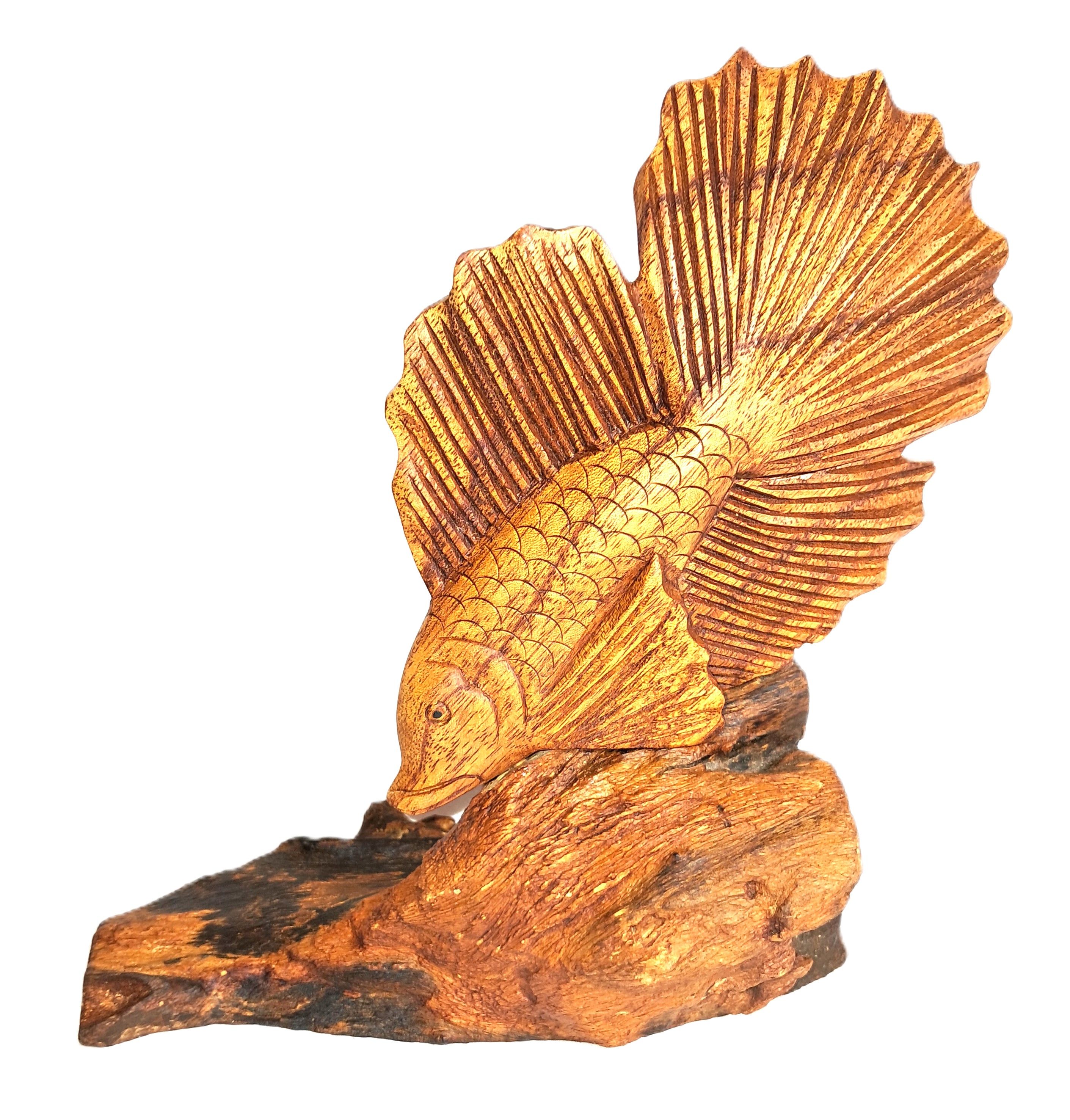 Betta fighting fish wood carving.