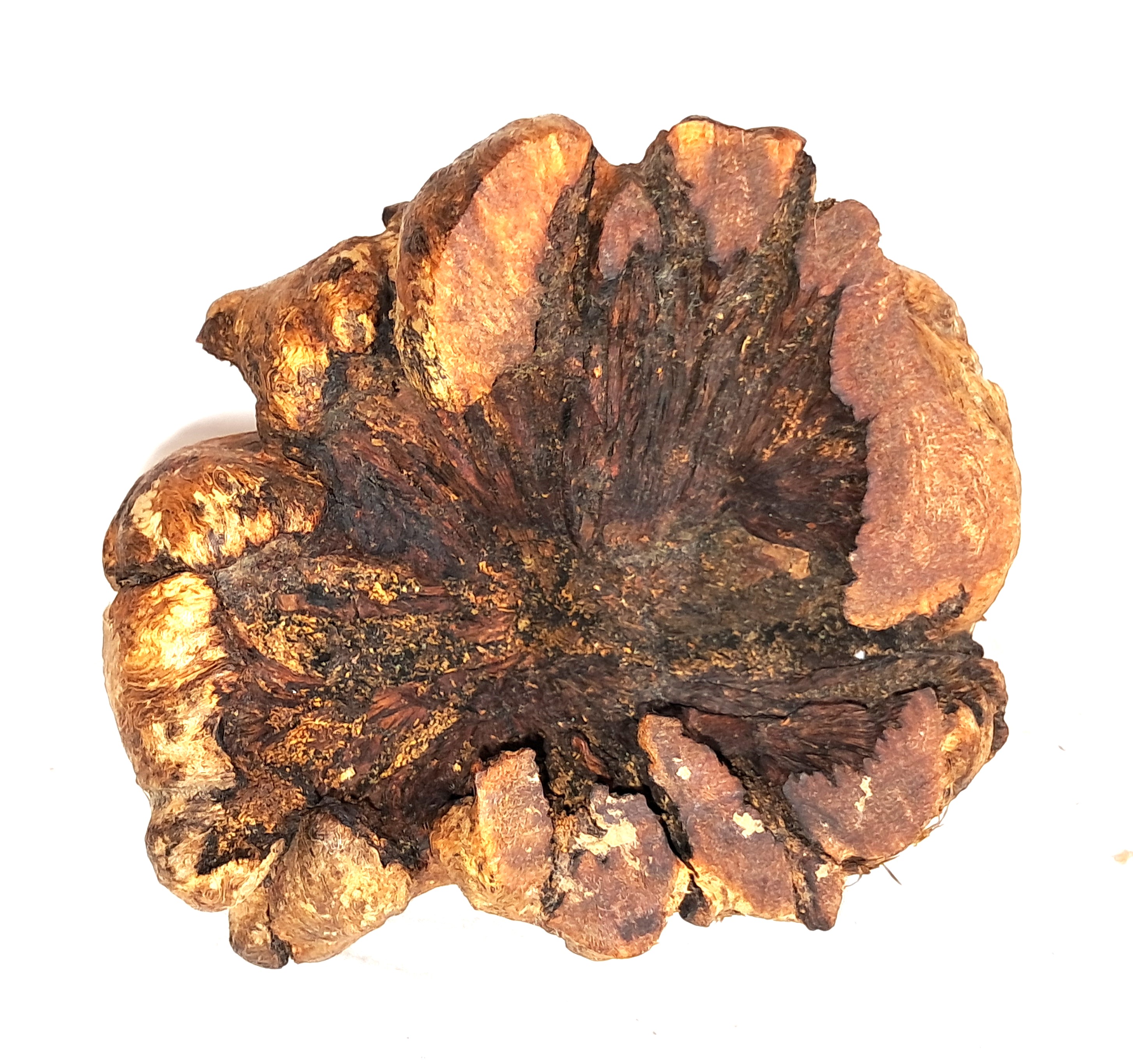 Seal wood carving (#slWw6.5)