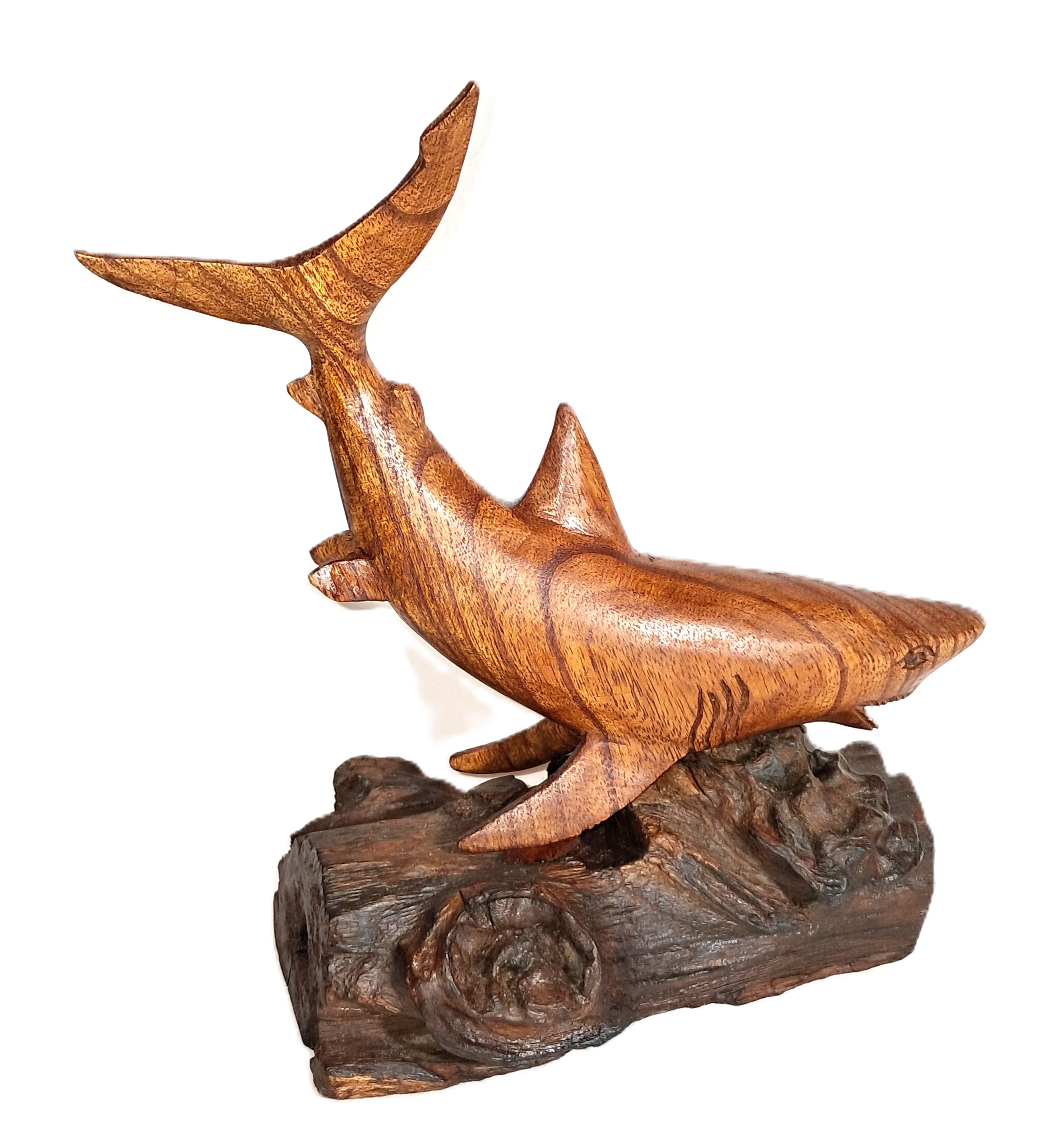 Shark wood carving (#shrTlU11.5)