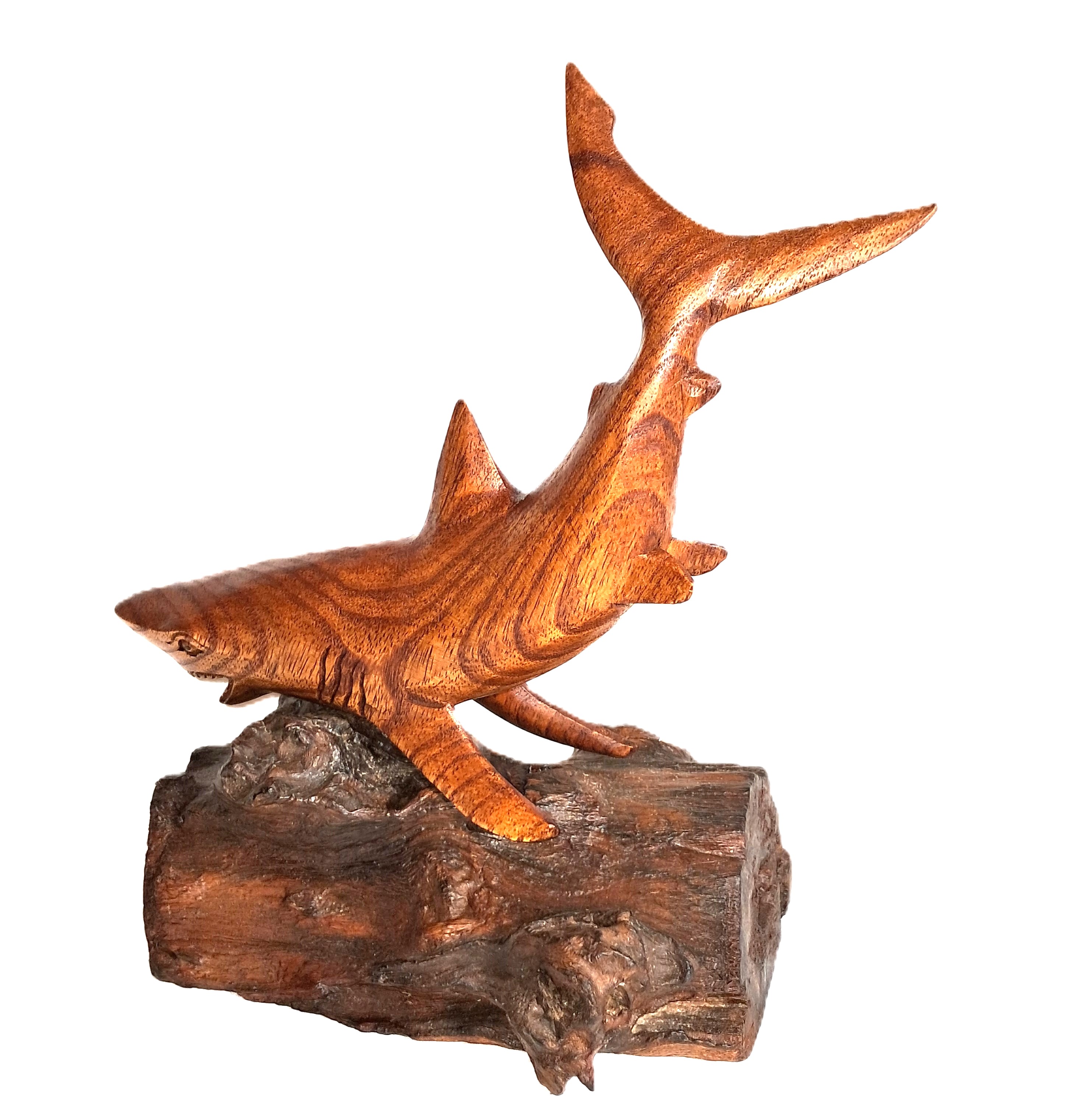 Shark wood carving (#shrTlU11.5)