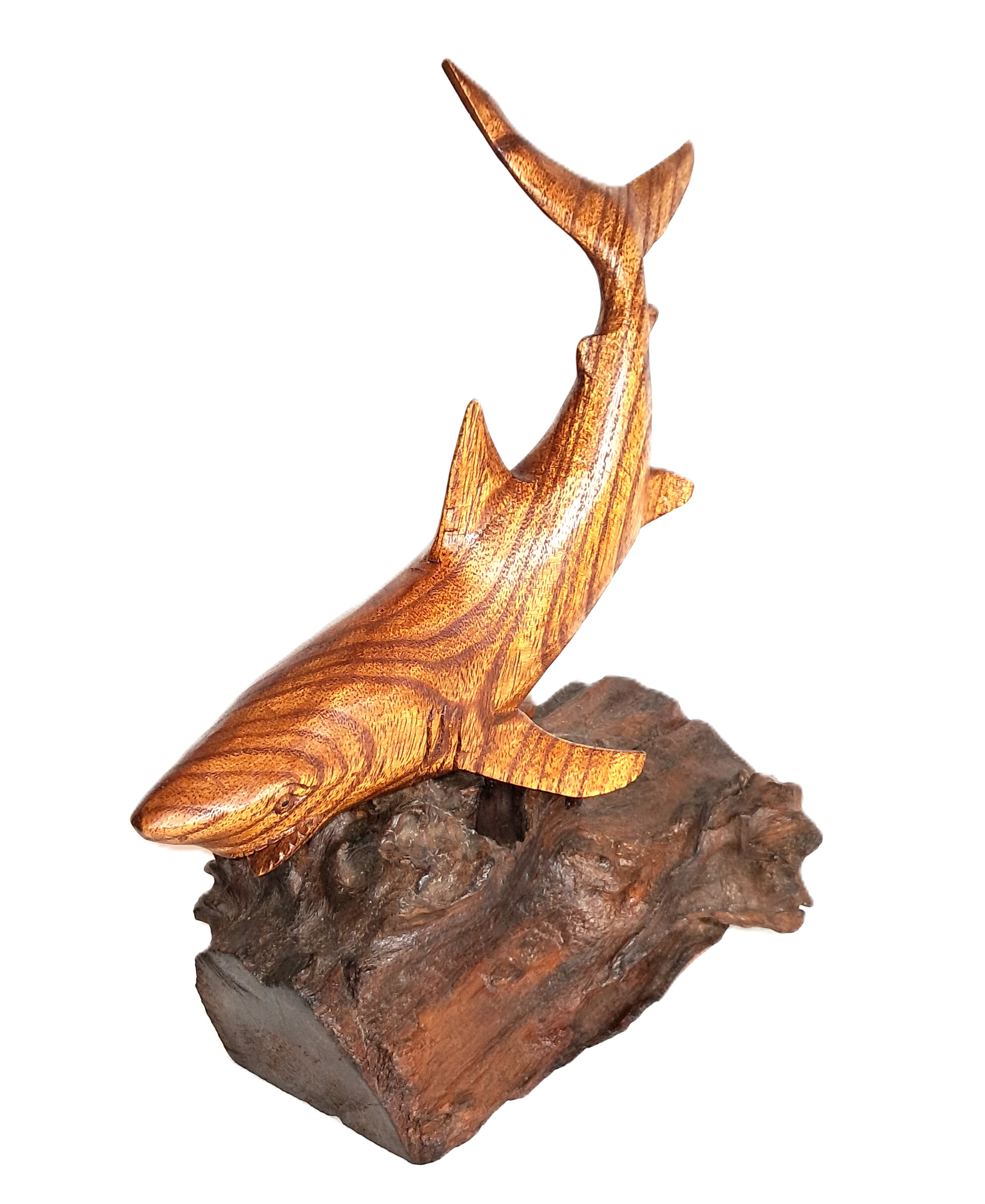 Shark wood carving (#shrTlU11.5)