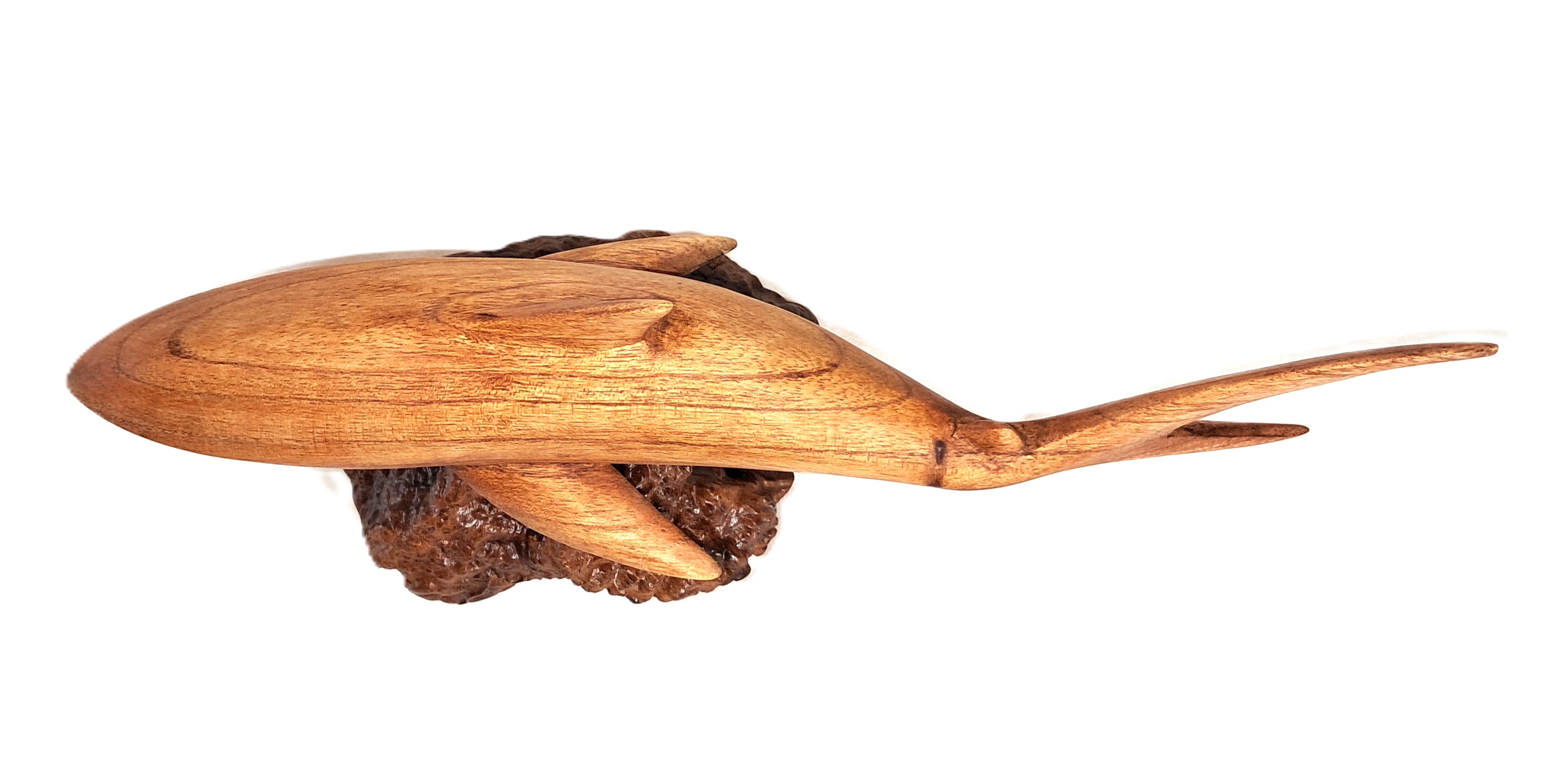 Shark wood carving (#shrMnz12)