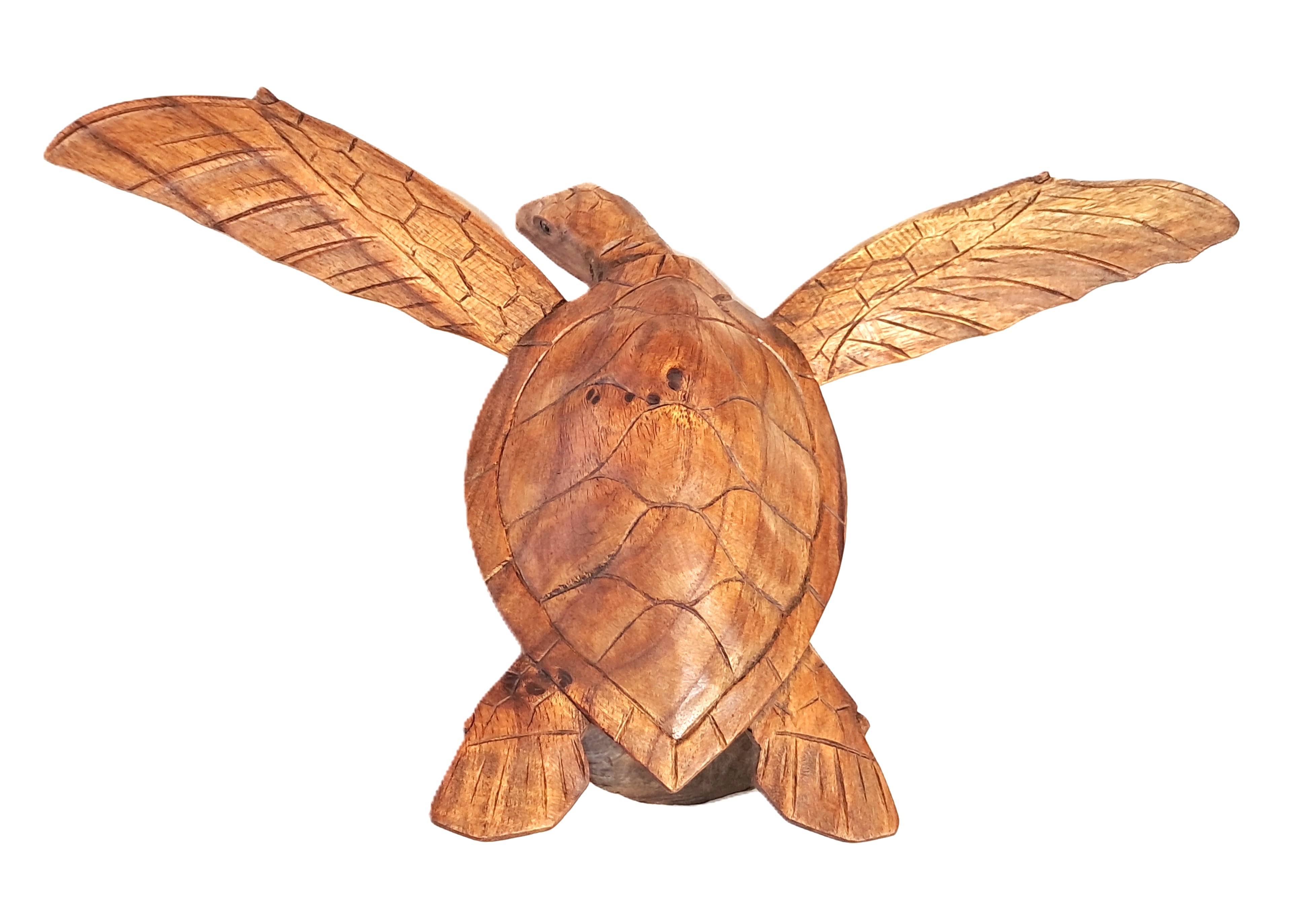 Turtle wood carving (#trt16_8)