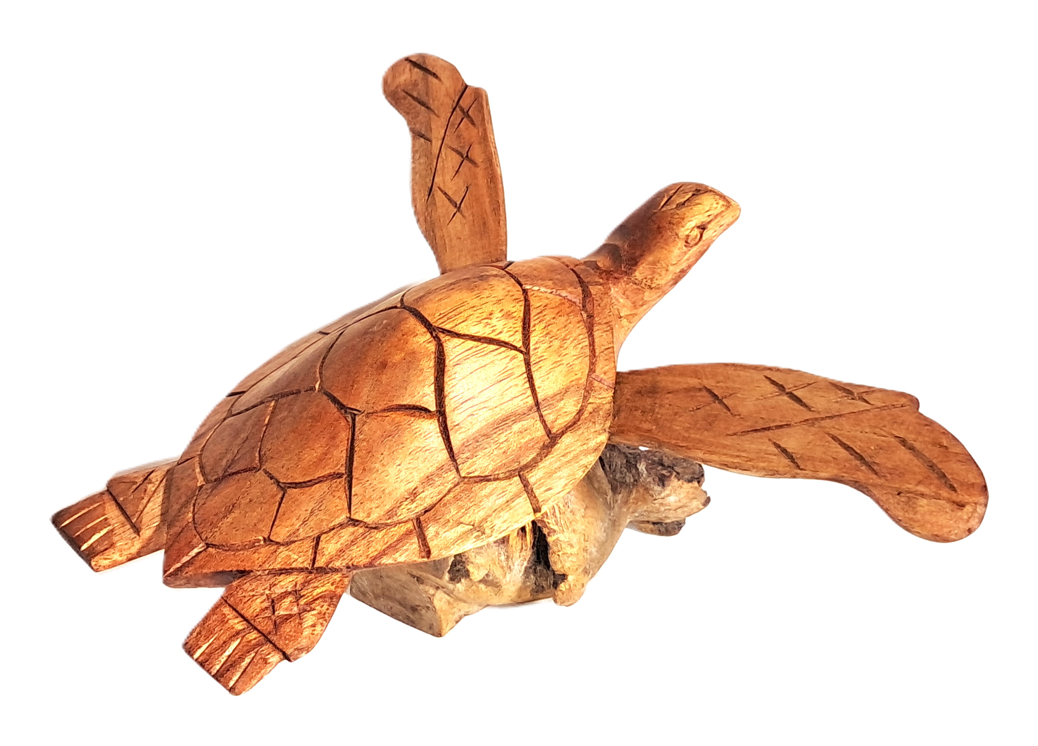 Turtle wood carving (#trt9.5_7)