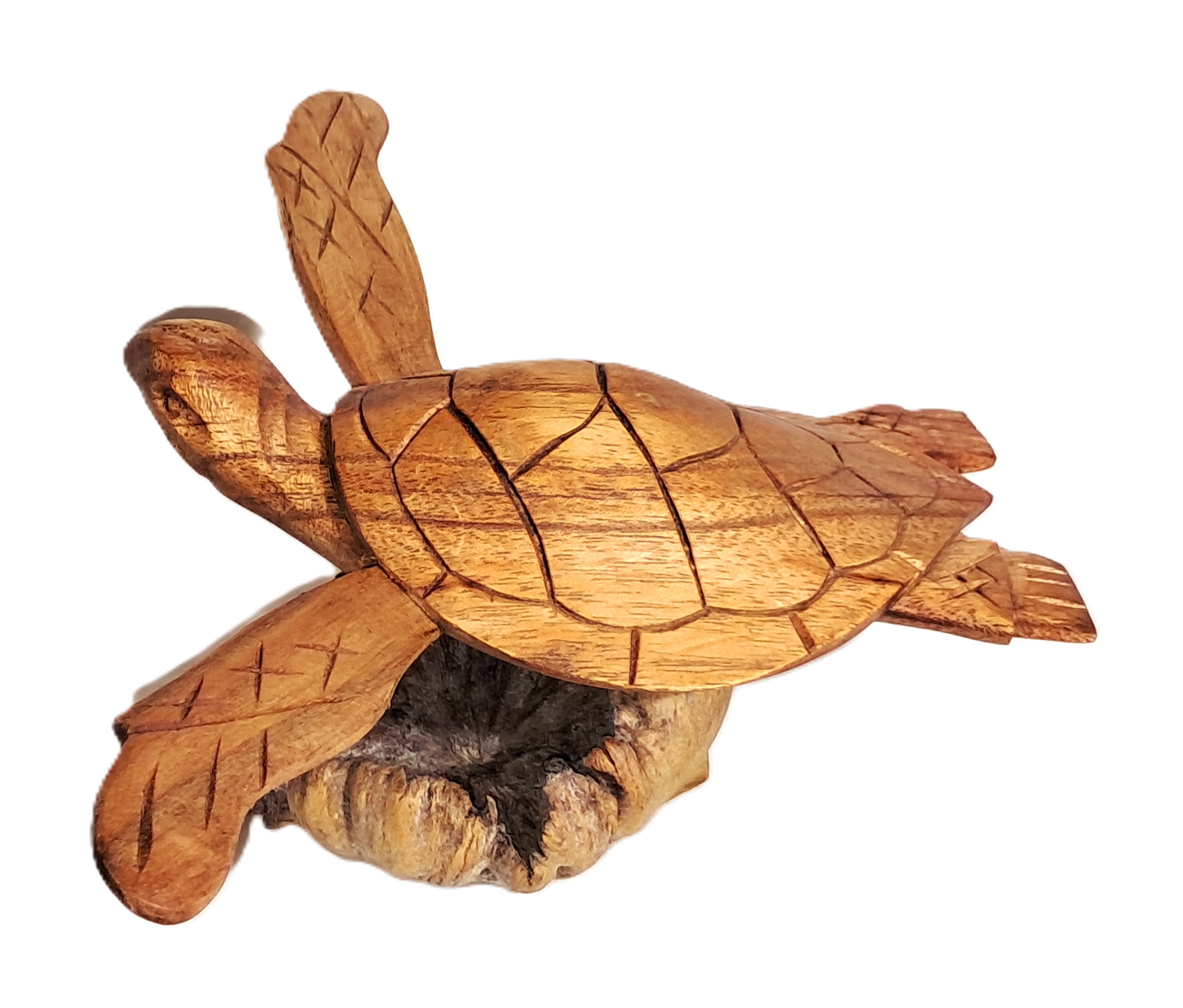 Turtle wood carving (#trt9.5_7)