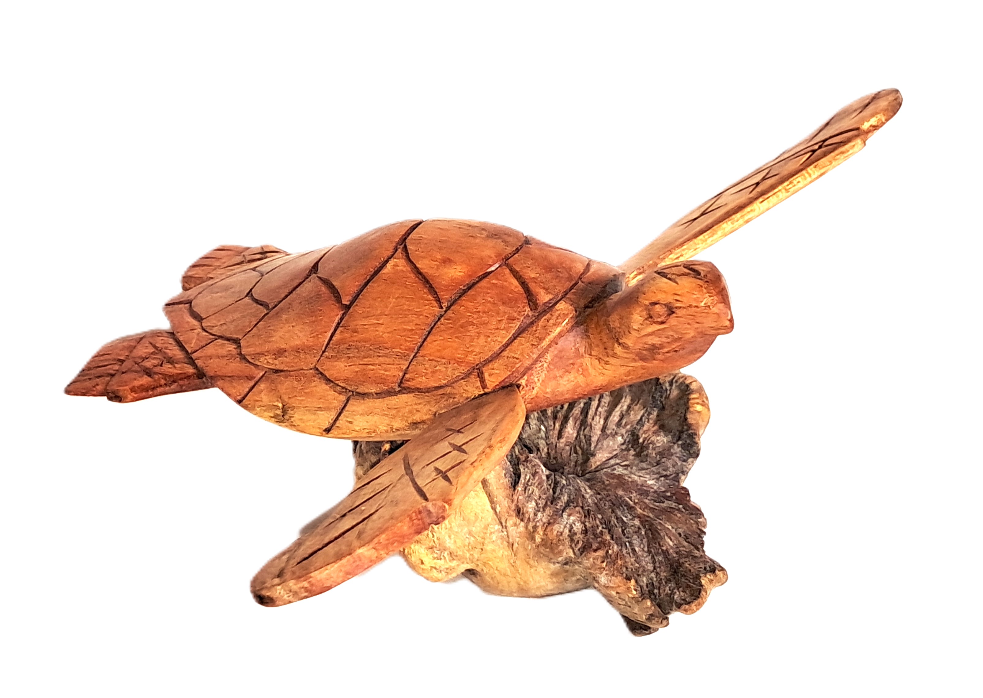 Turtle wood carving (#trt9.5_7)