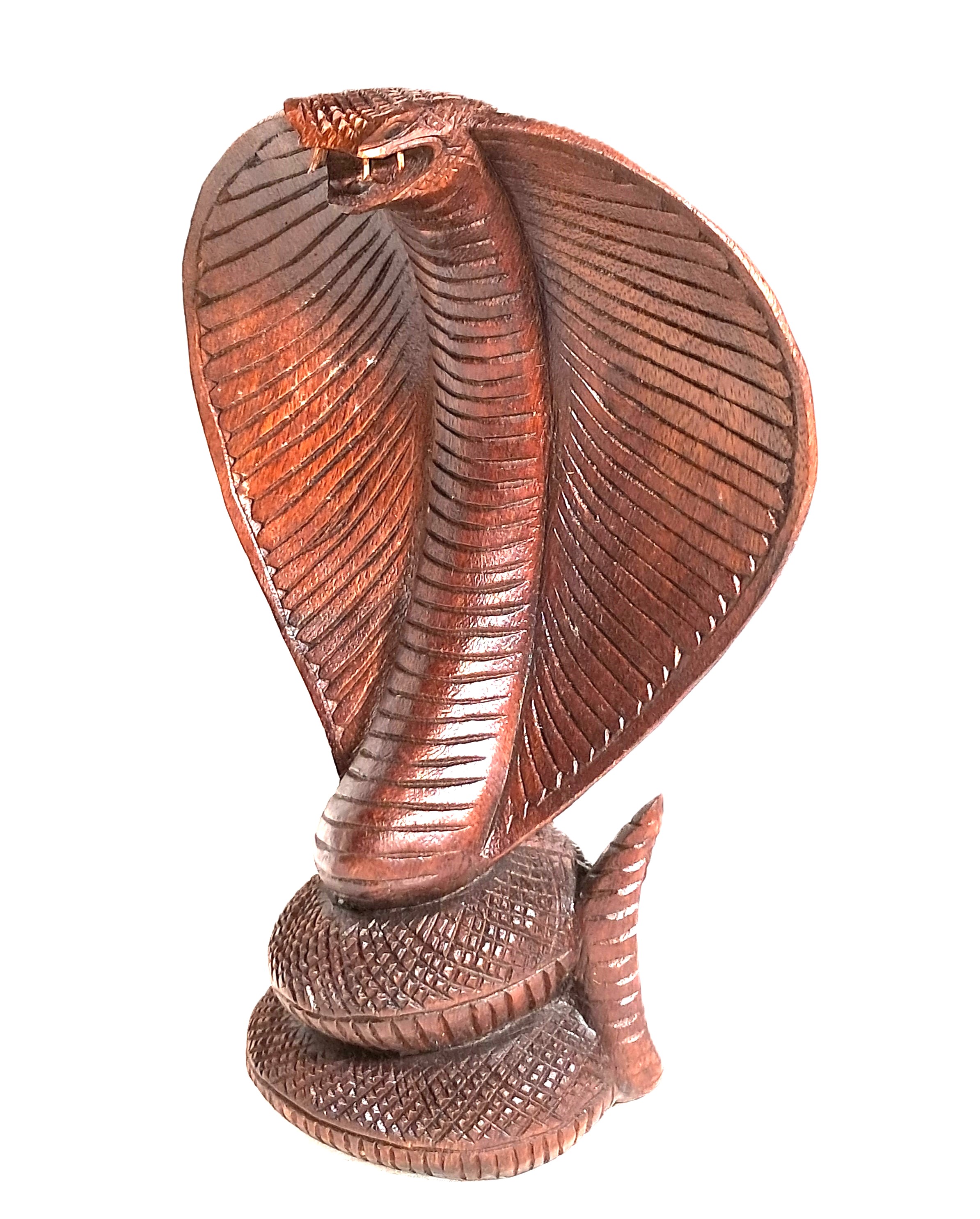 Cobra wood carving (cbr10_6.5)