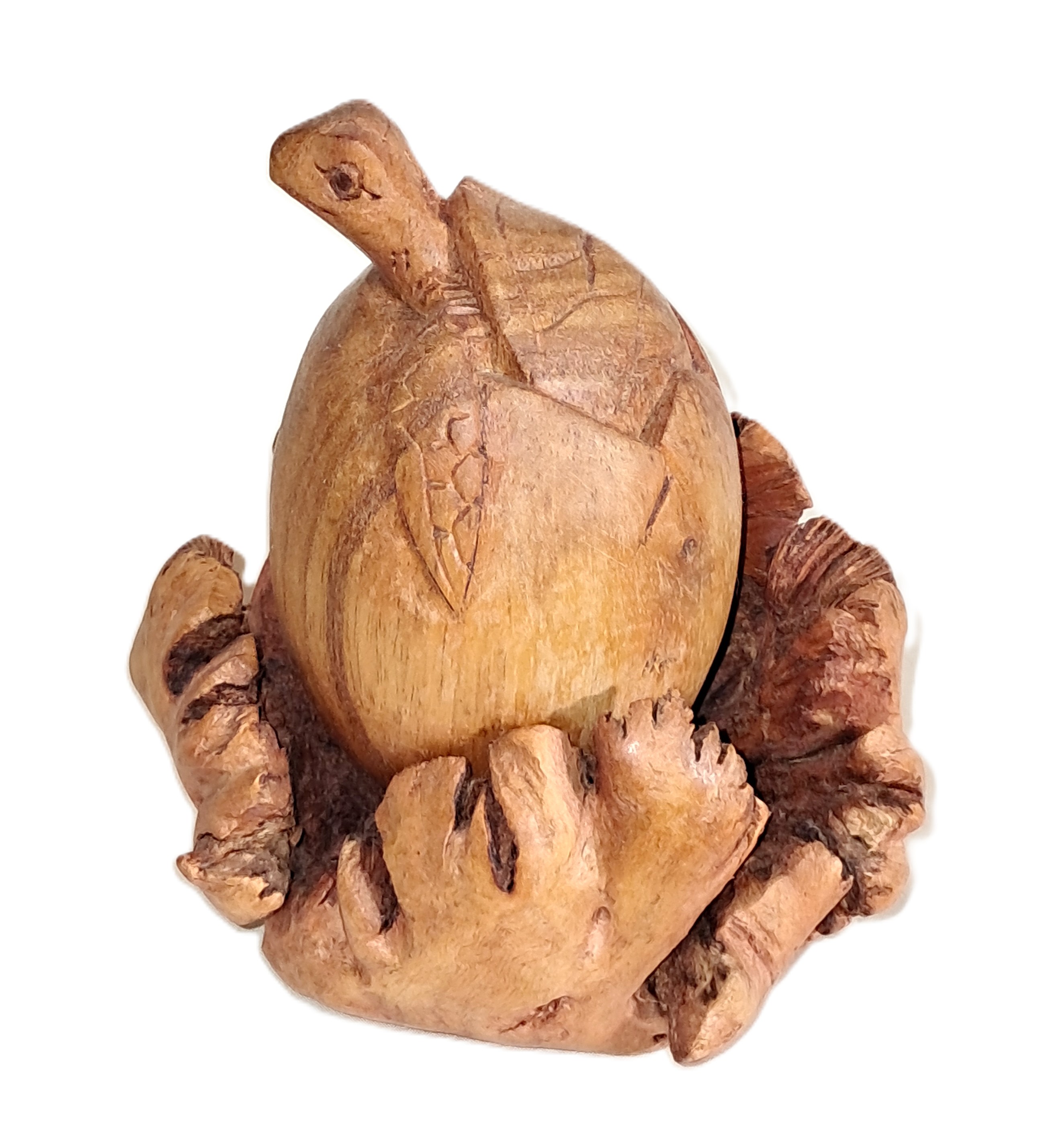 Turtle hatching, wood carving.