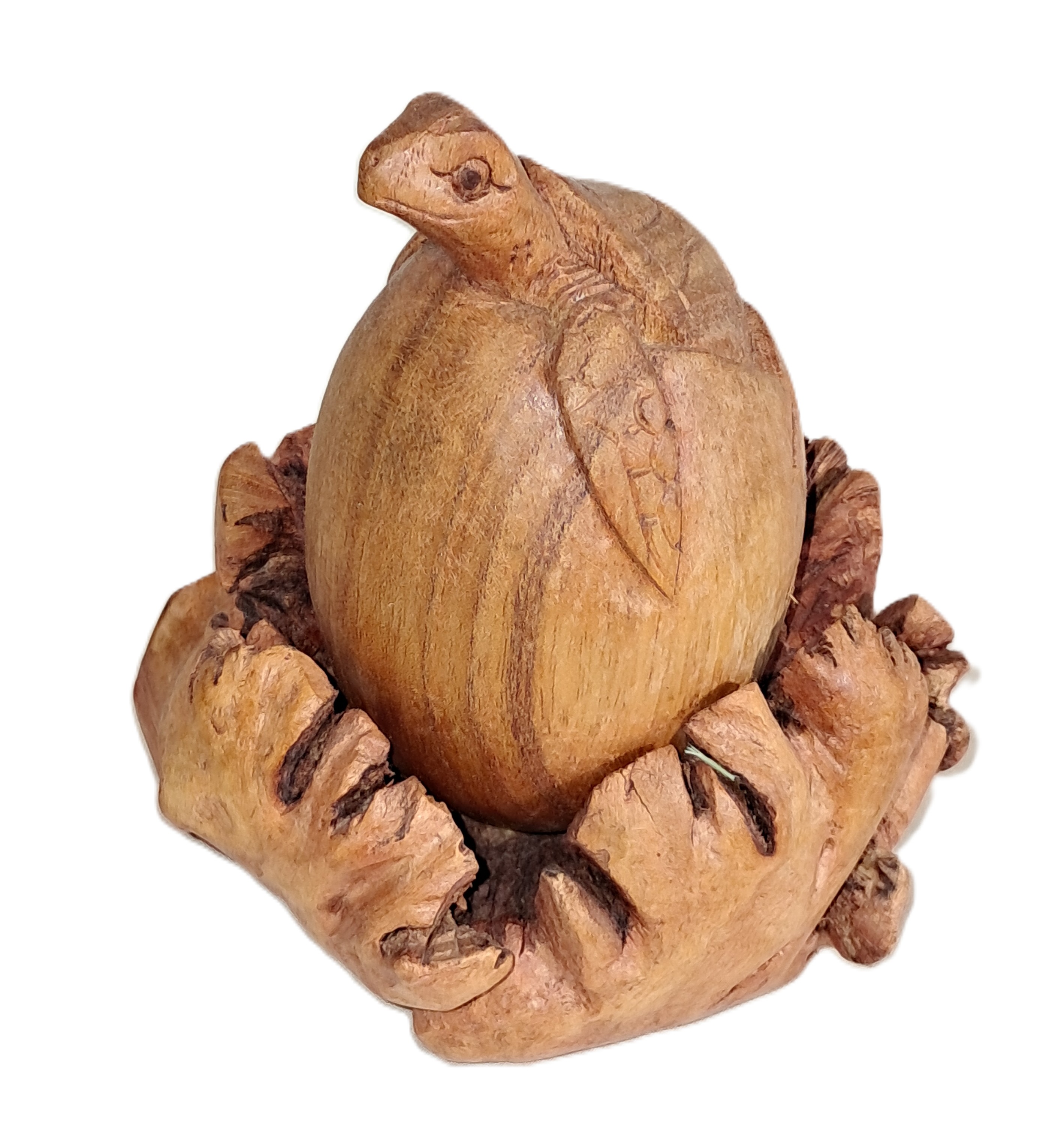 Turtle hatching, wood carving.