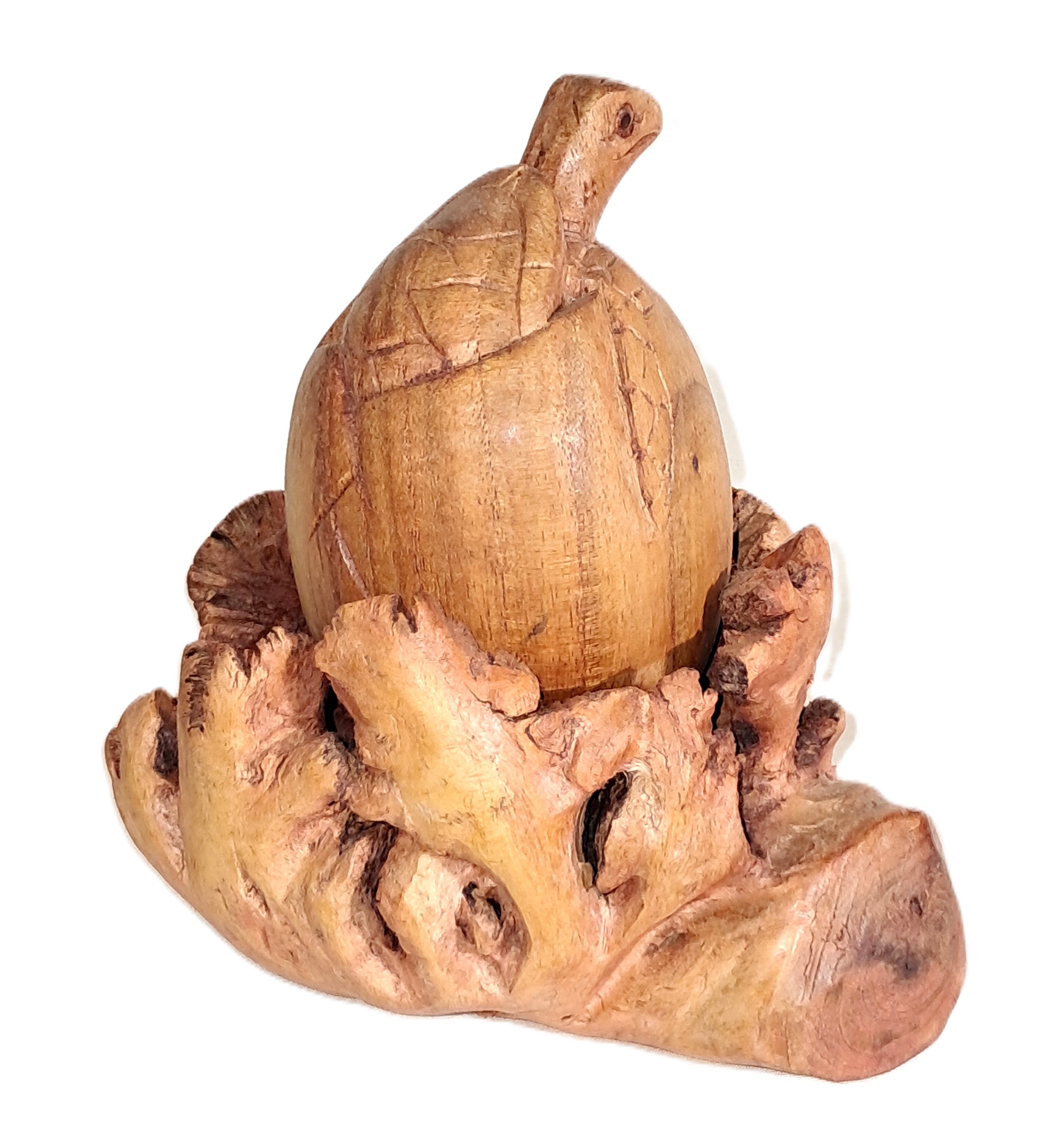 Turtle hatching, wood carving.