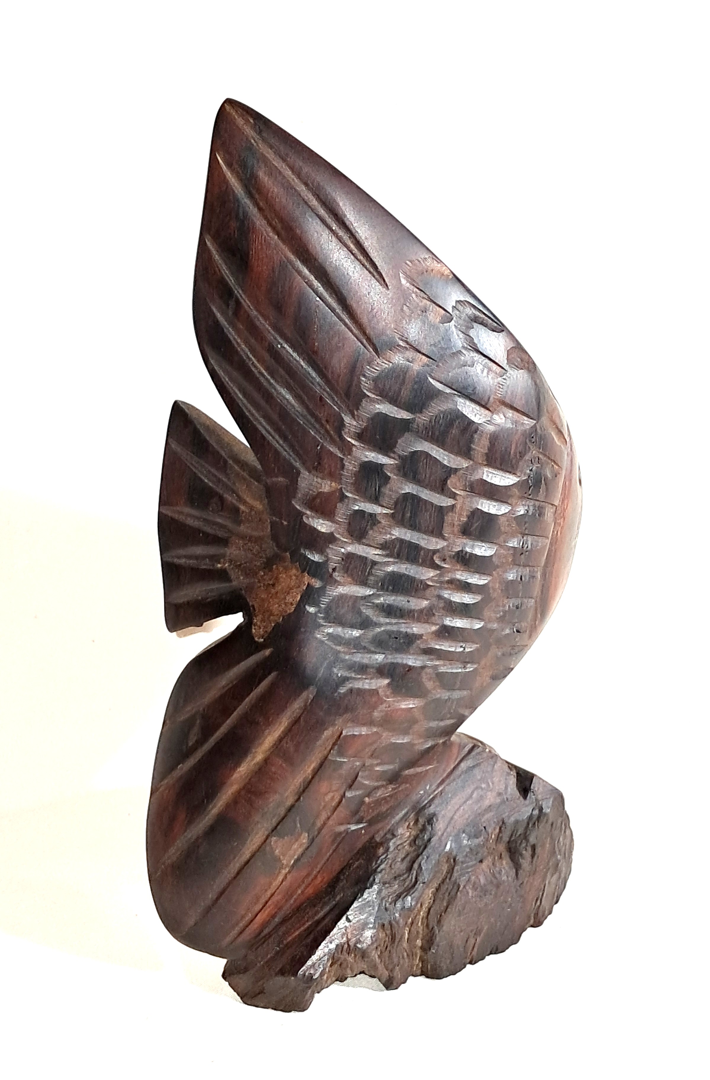 Ironwood angelfish sculpture.