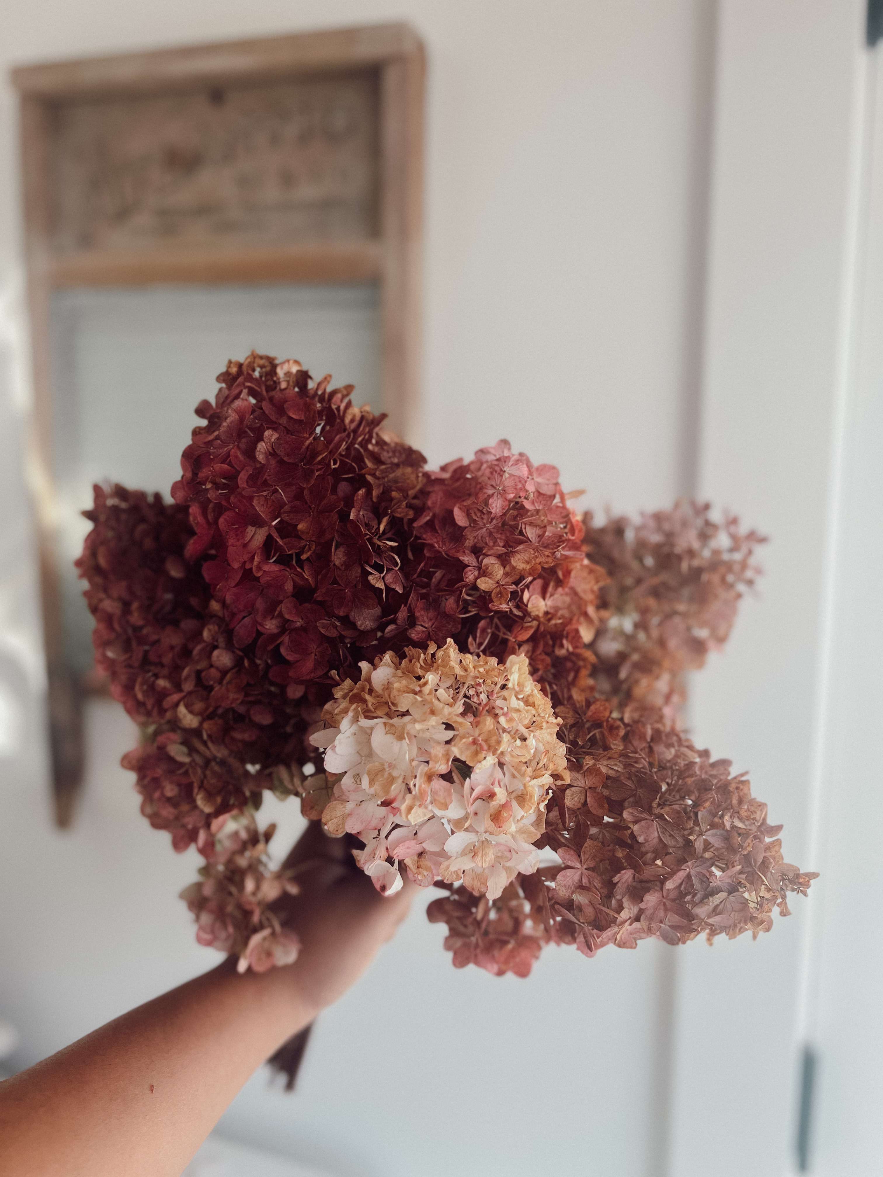 Spring | Summer | Fall Flowers