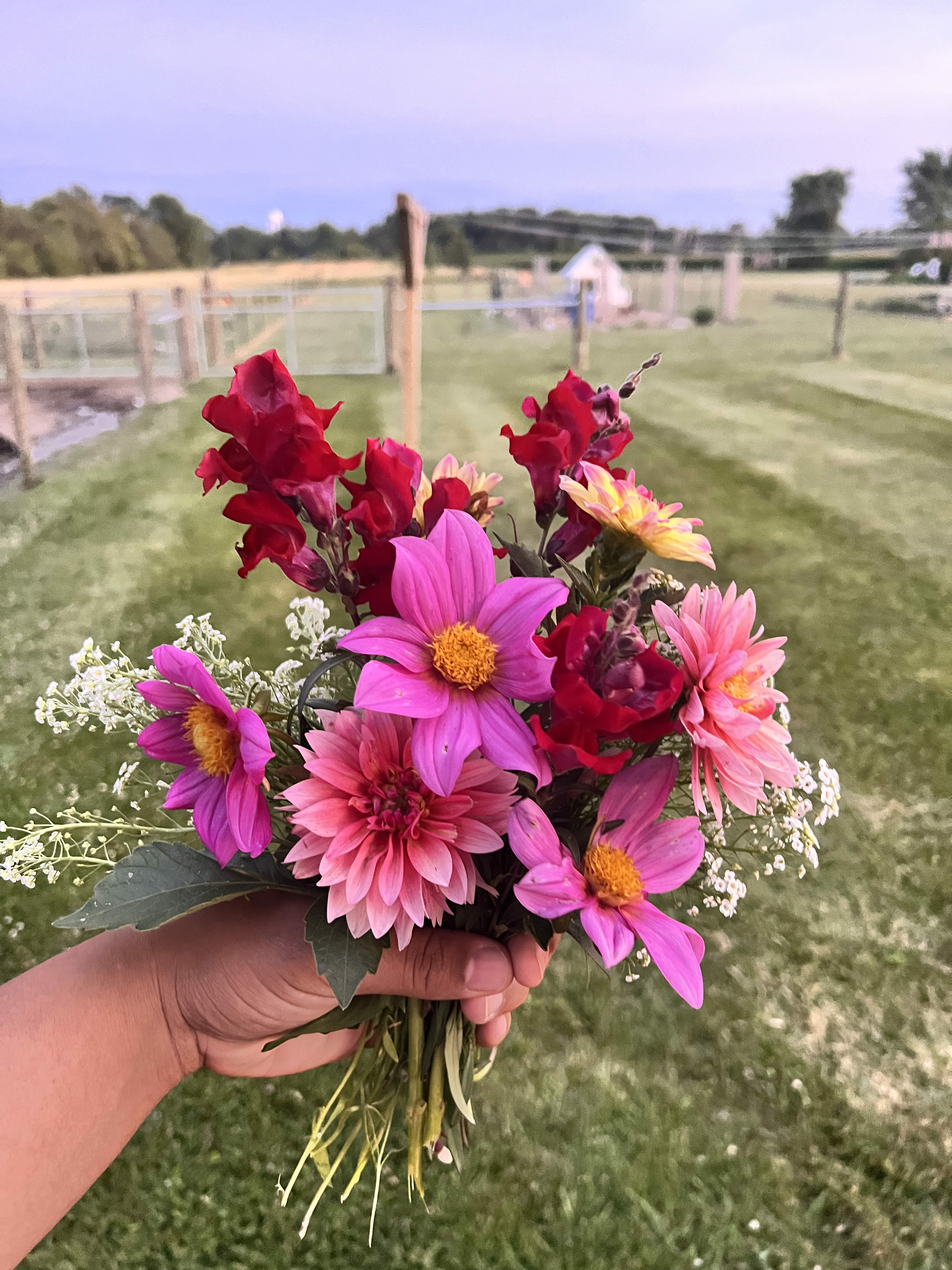 Spring | Summer | Fall Flowers