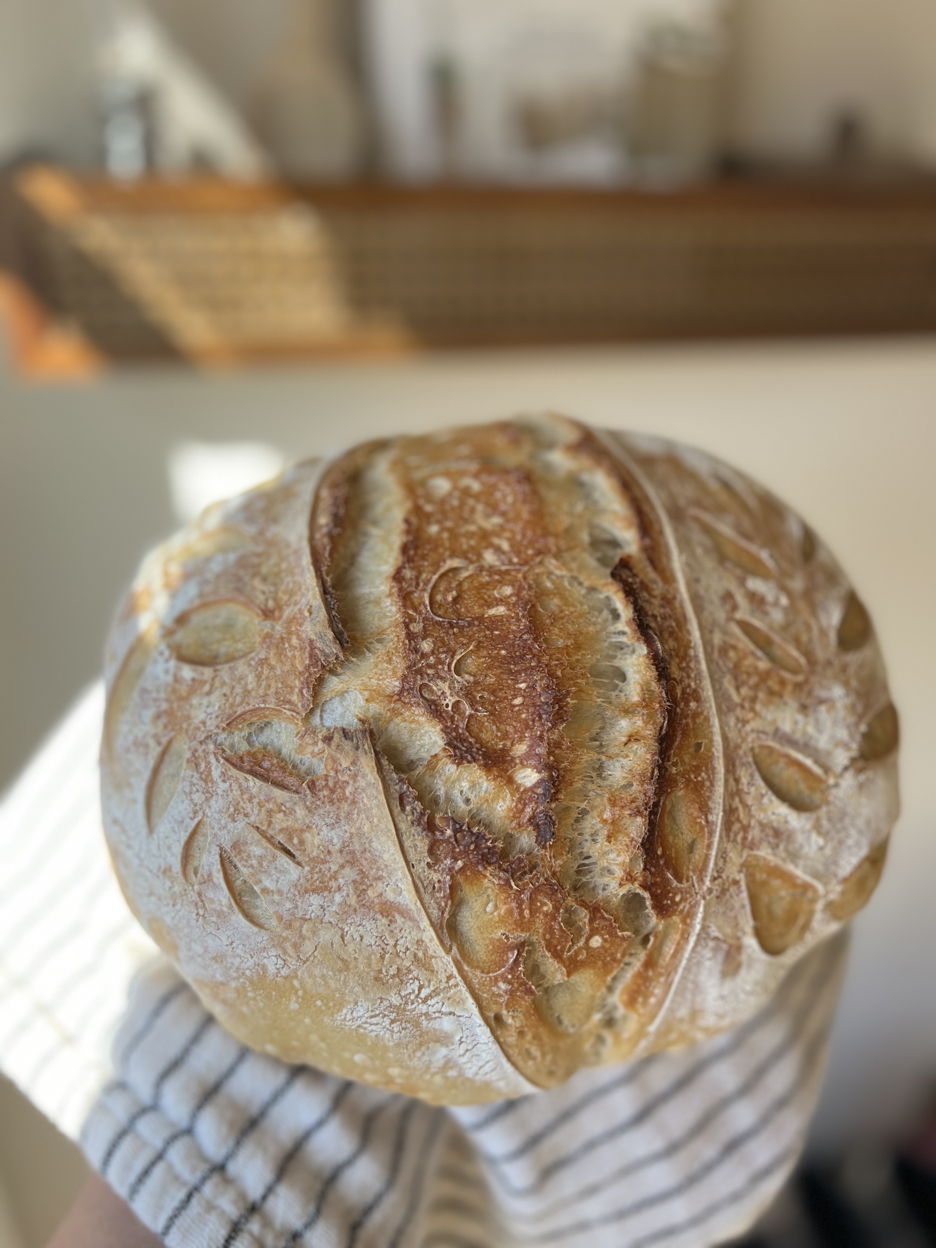 Sourdough Bread Loaf