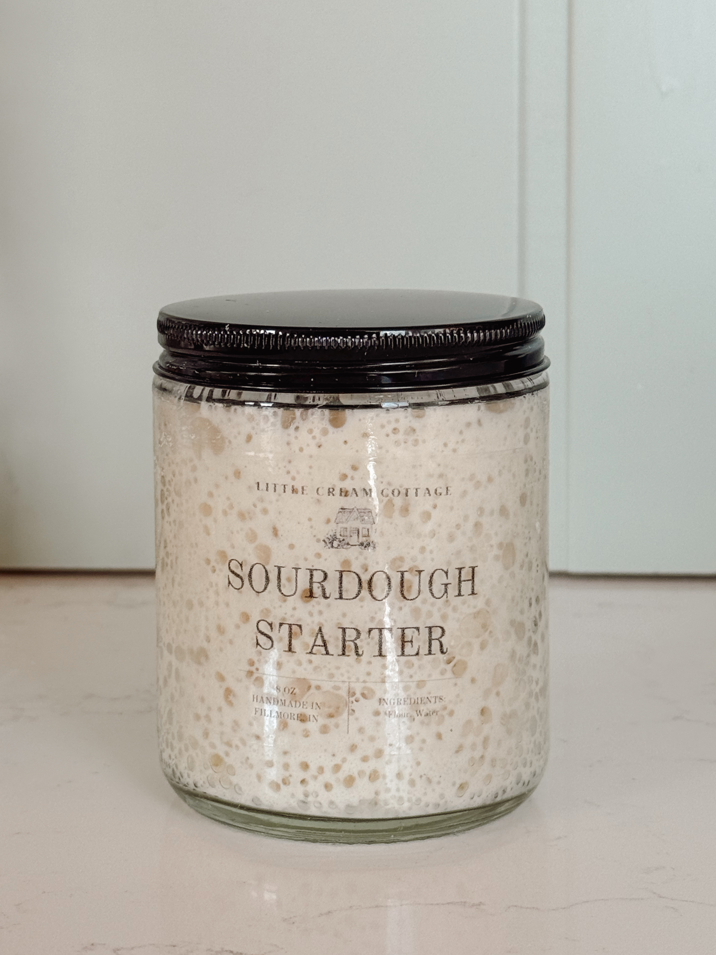 Sourdough Starter | 8oz