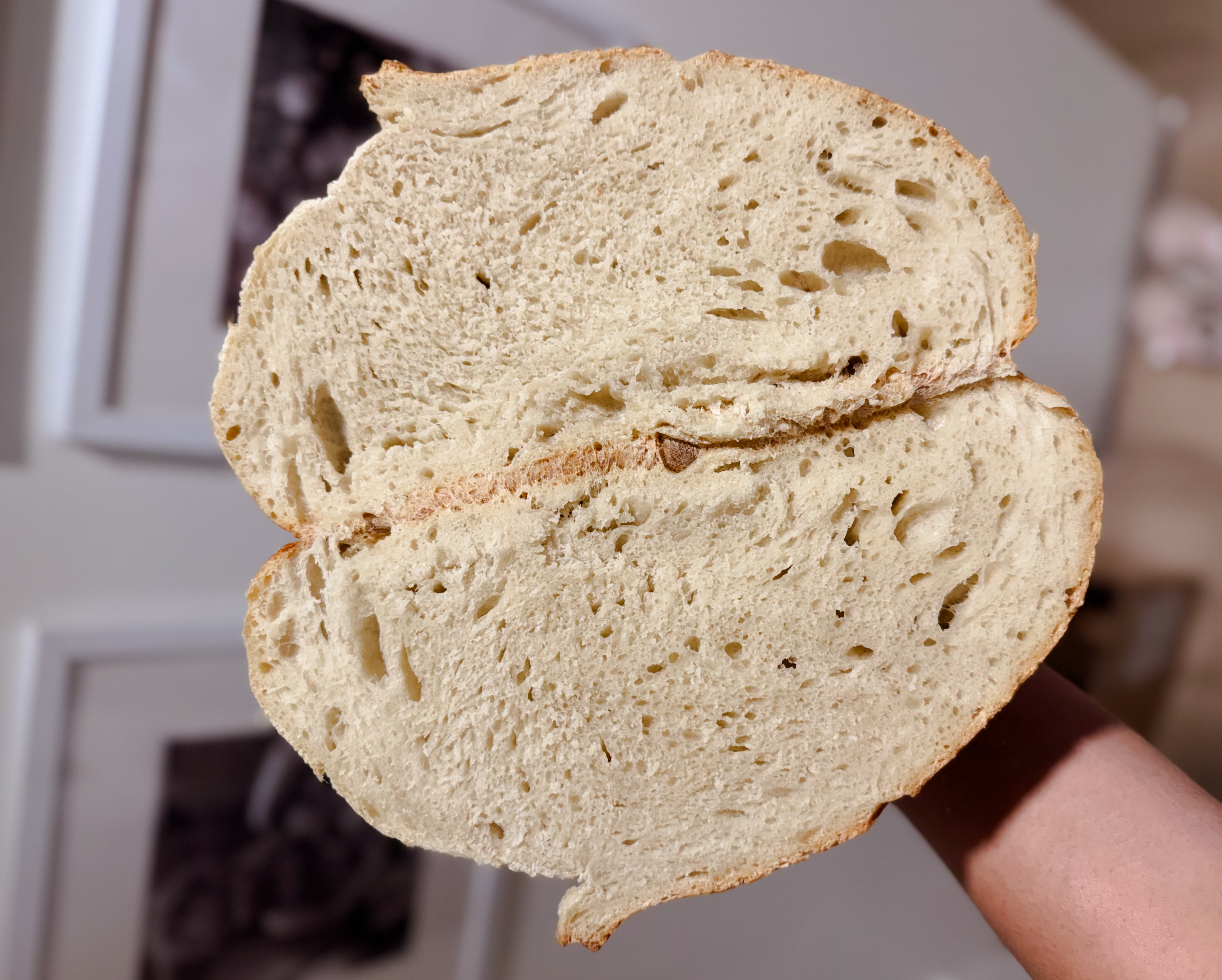 Sourdough Bread Loaf