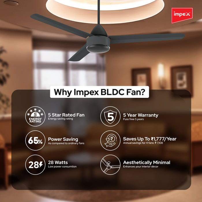 IMPEX BDLC FAN 