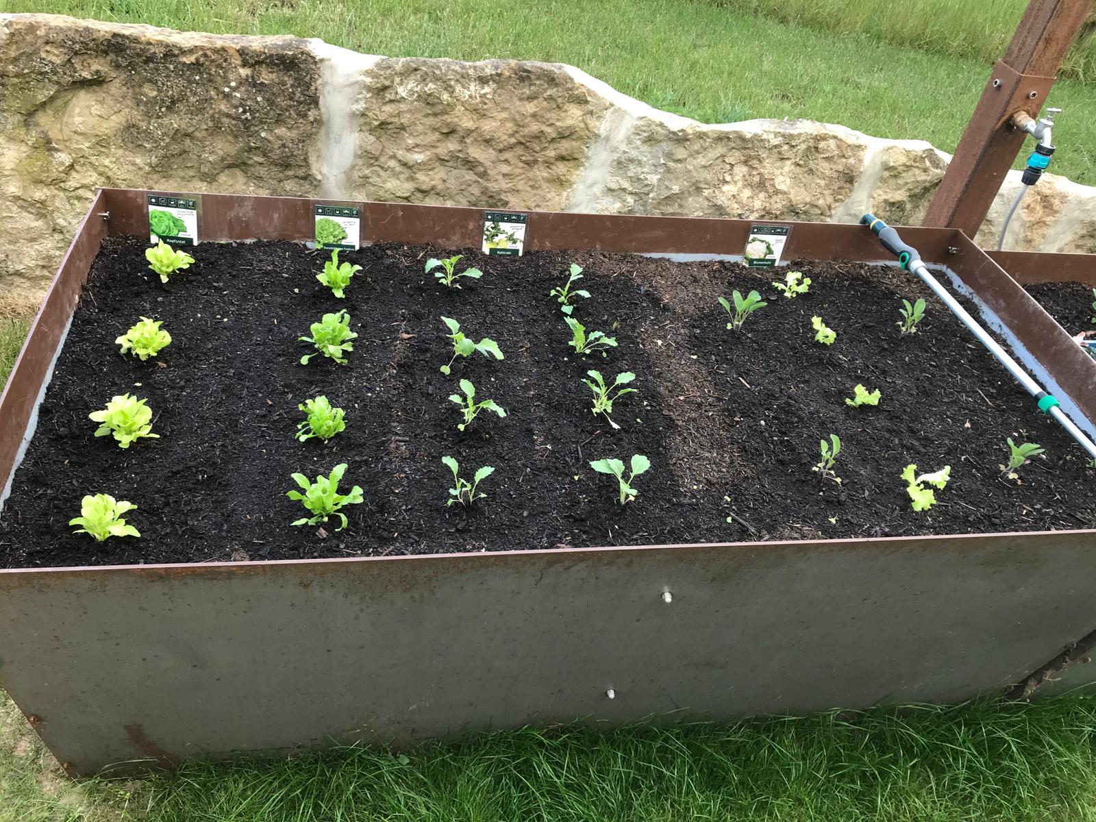 Hochbeet aus Jahrhundertstahl 4mm dick