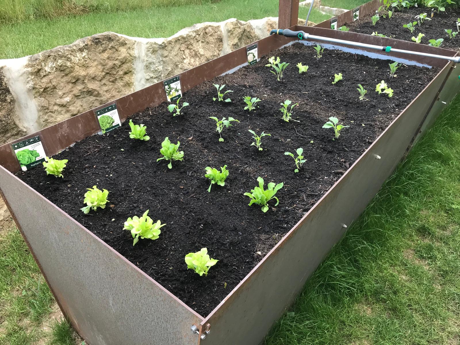 Hochbeet aus Jahrhundertstahl 4mm dick