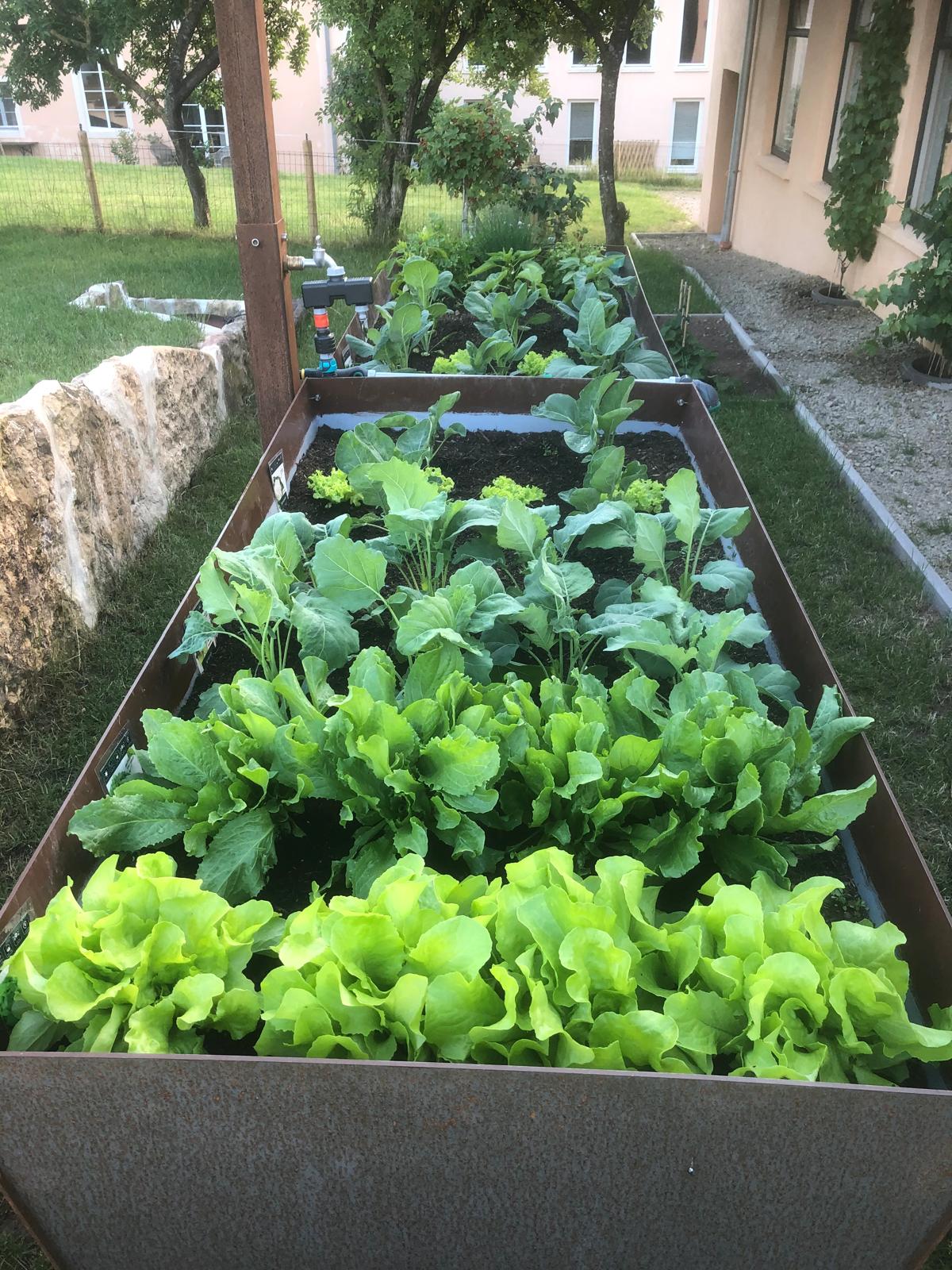 Hochbeet aus Jahrhundertstahl 4mm dick