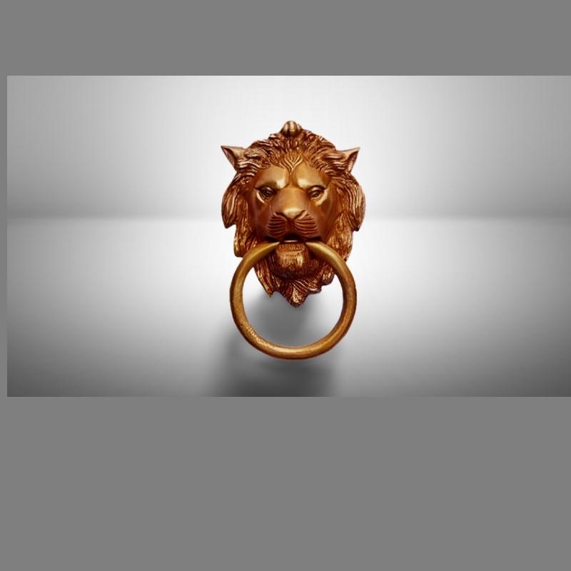 Lion door knocker
