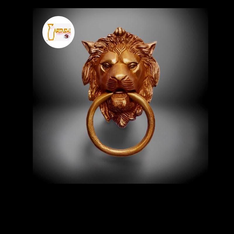 Lion door knocker