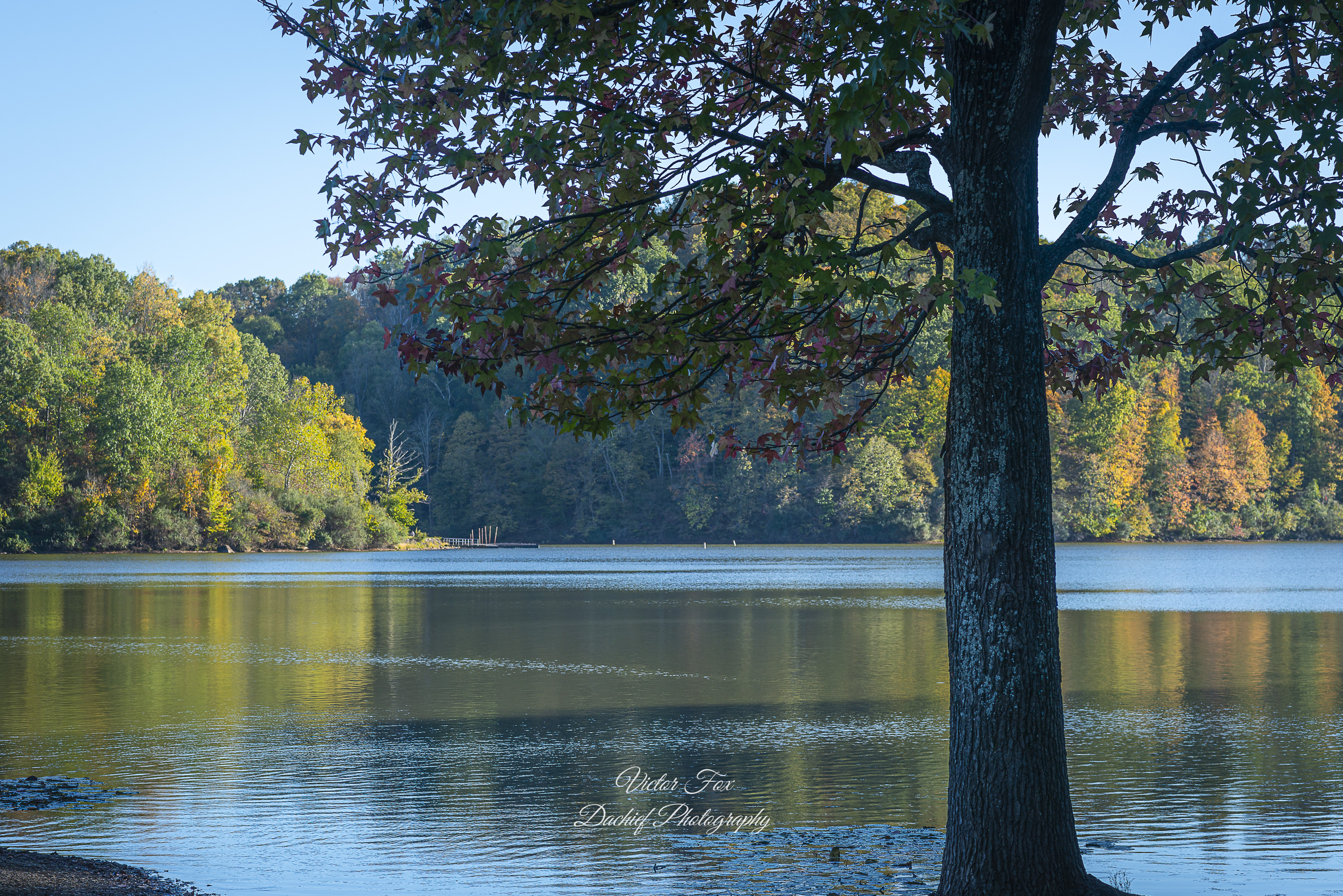 Scenic Landscape Photo