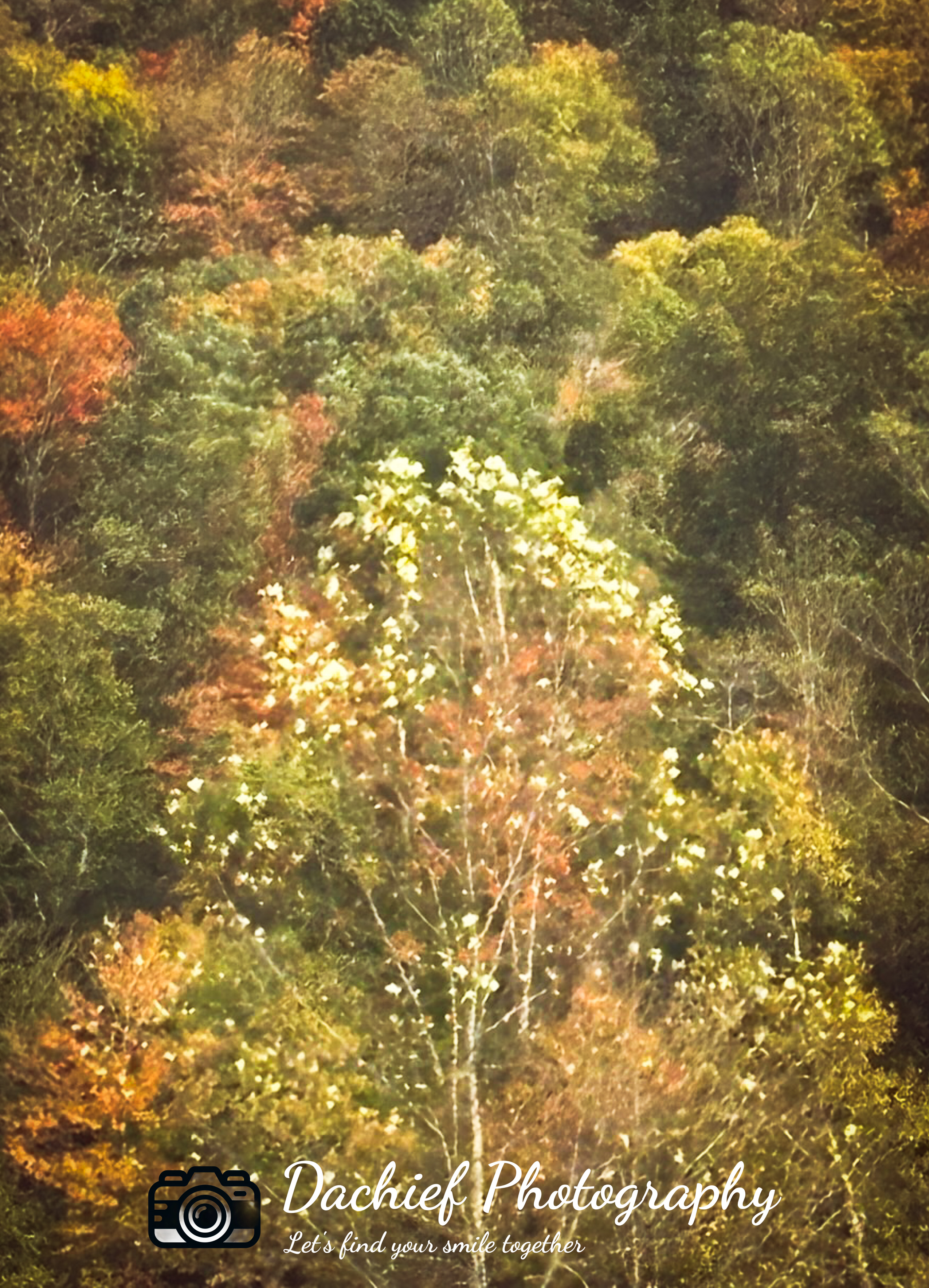 Fall Spectacular