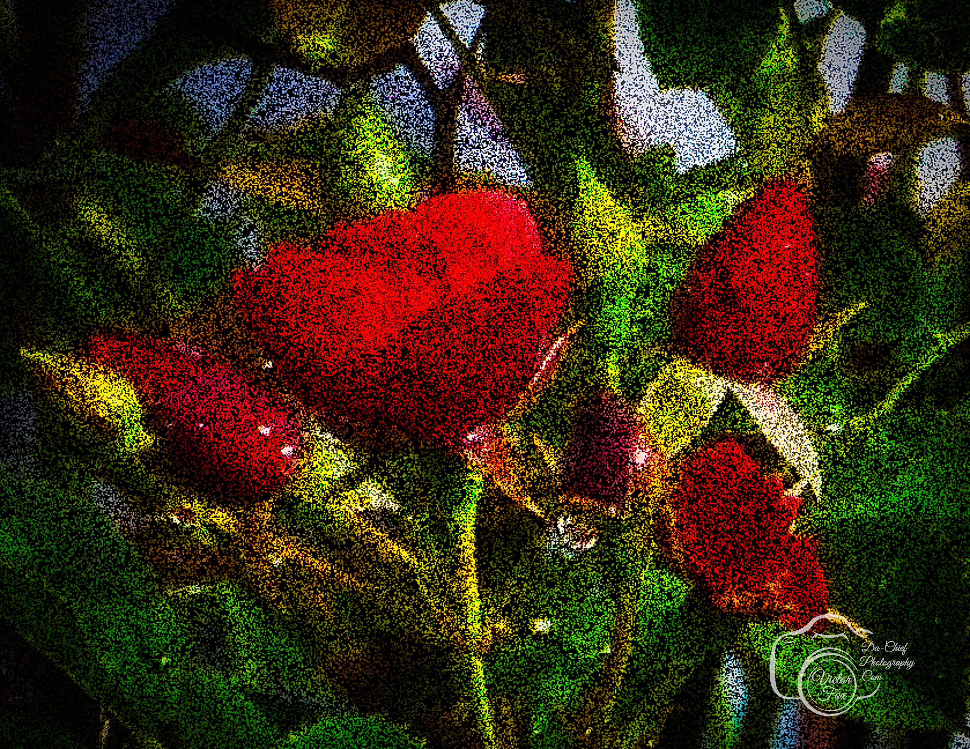 Digital Art Print of Red Roses