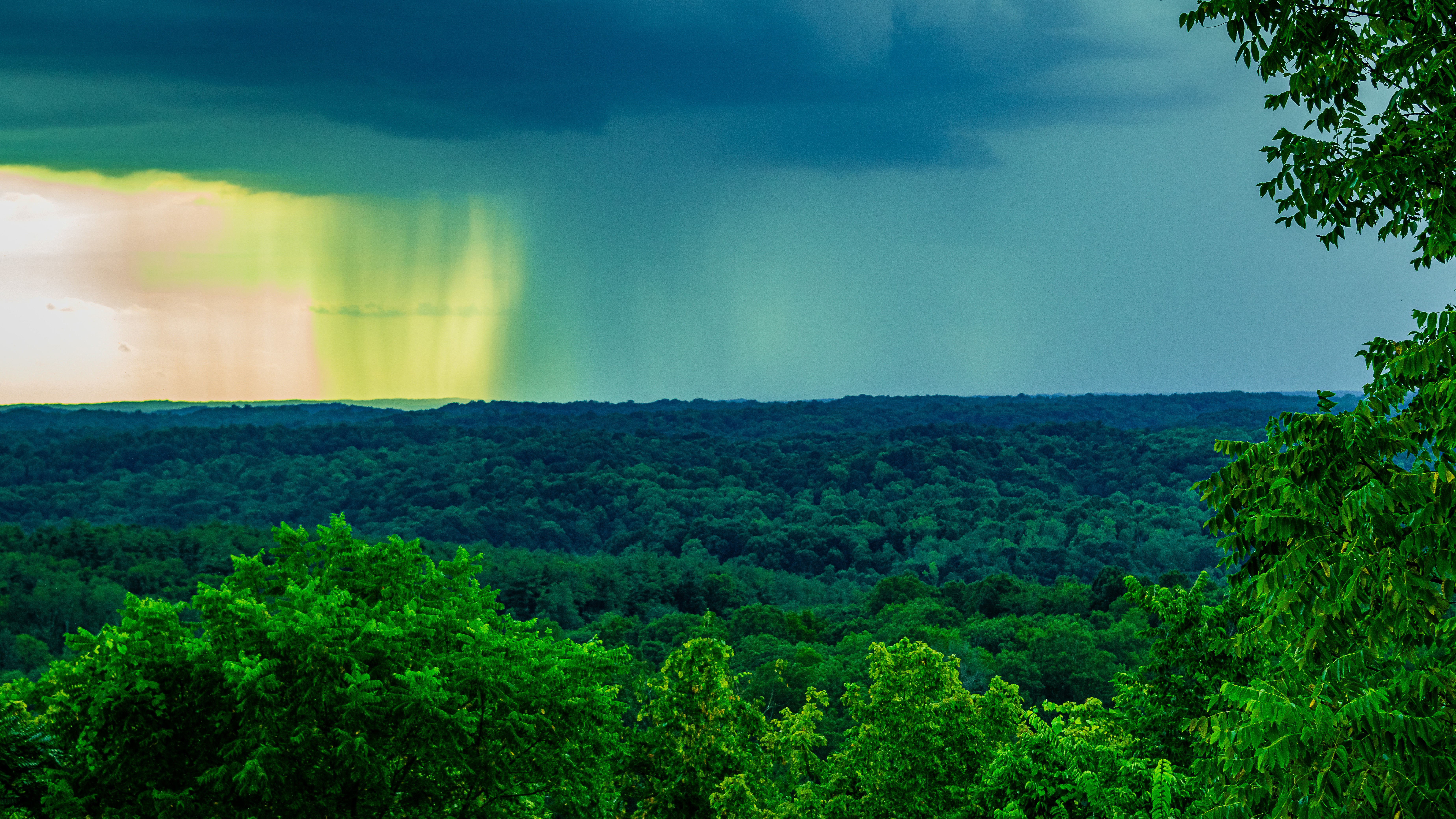 Storm on the Horizon!