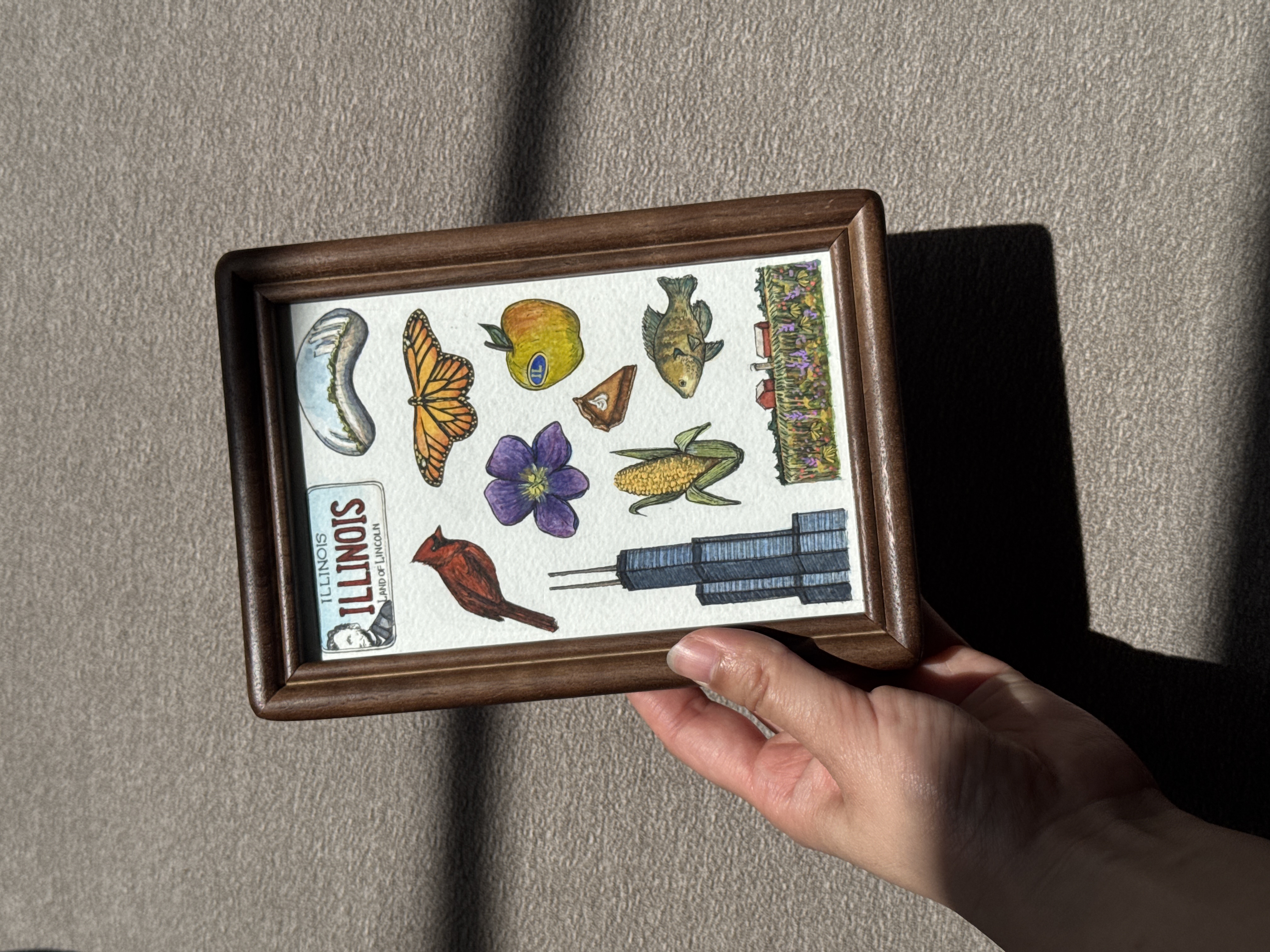 Illinois State Symbols - 4x6 Original