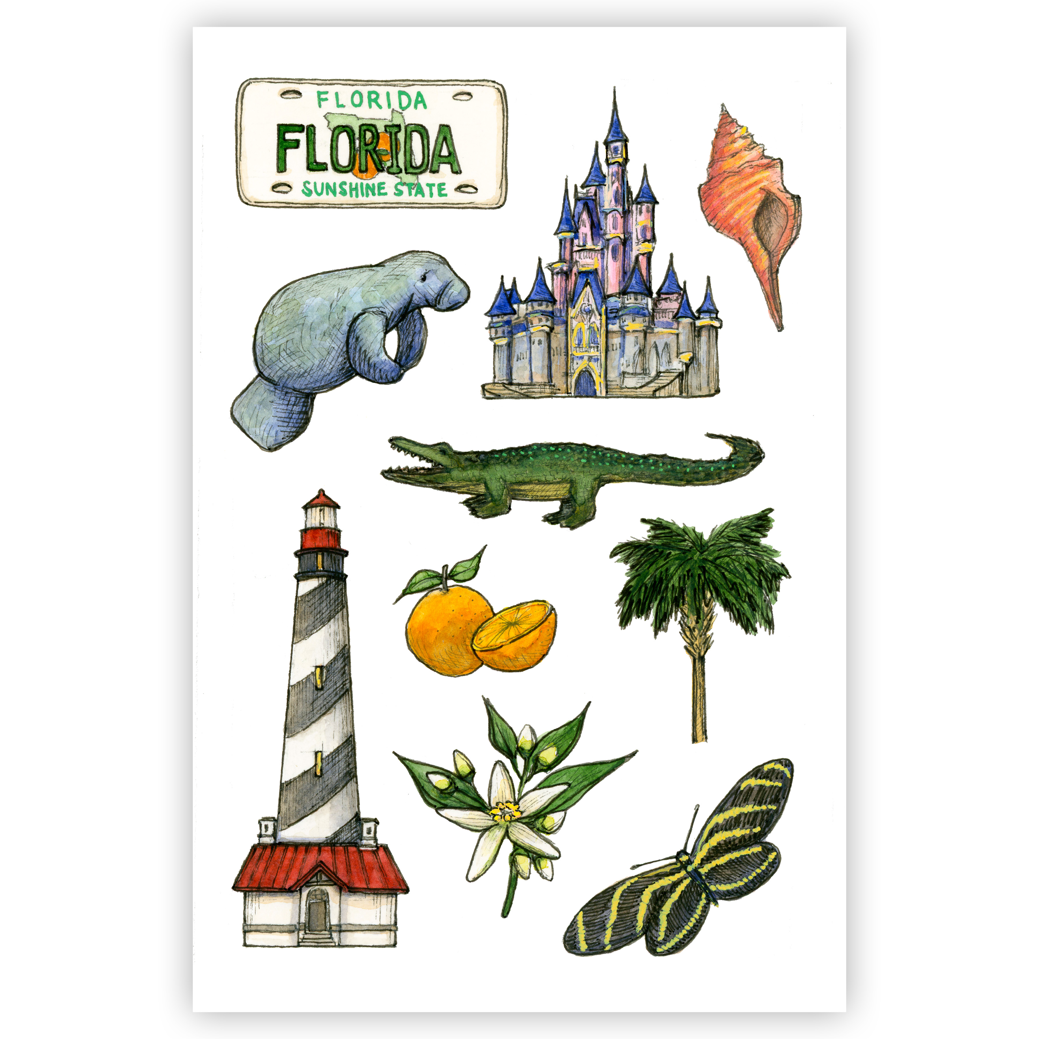 Florida State Symbols Print
