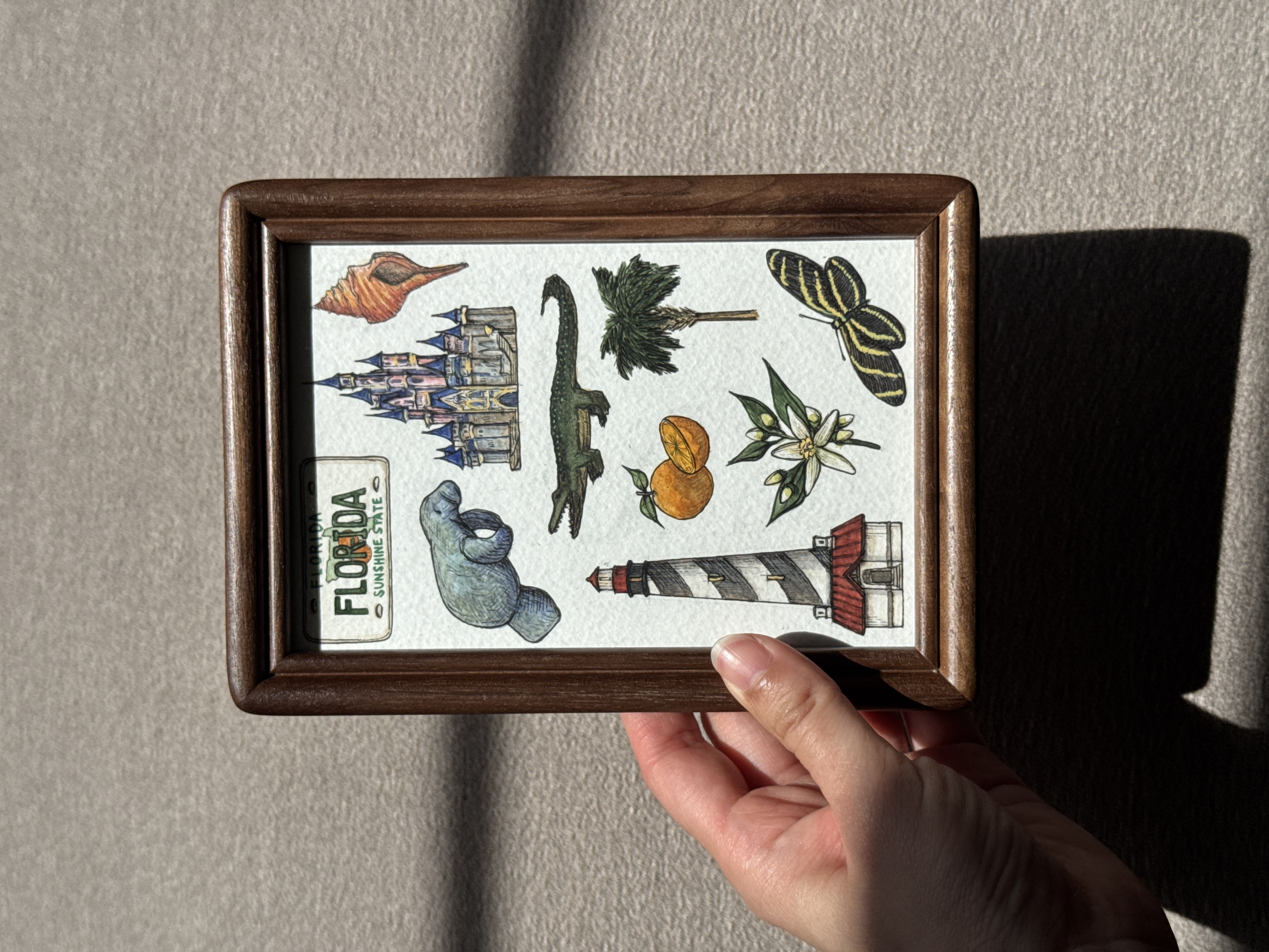 Florida State Symbols - 4x6 Original