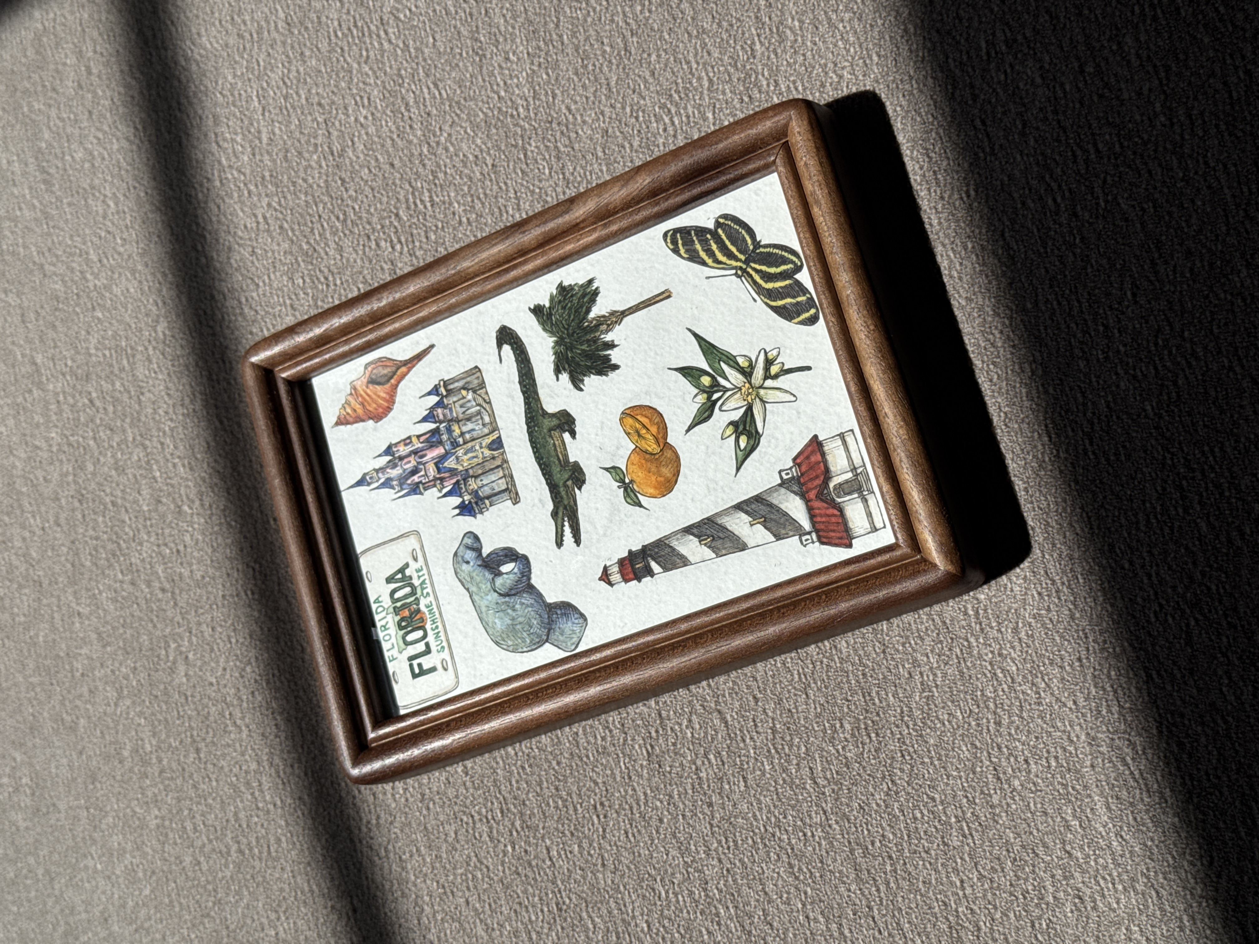 Florida State Symbols - 4x6 Original