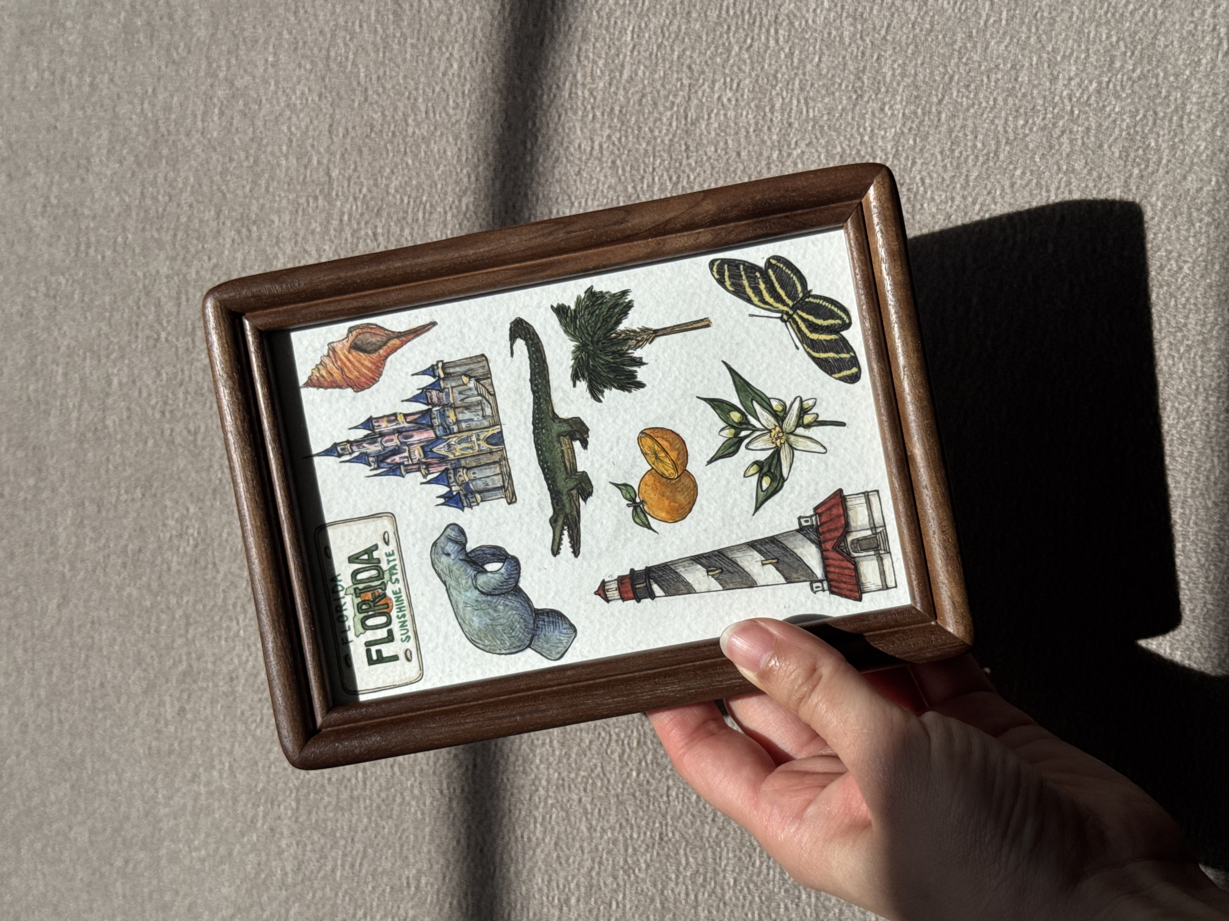 Florida State Symbols - 4x6 Original