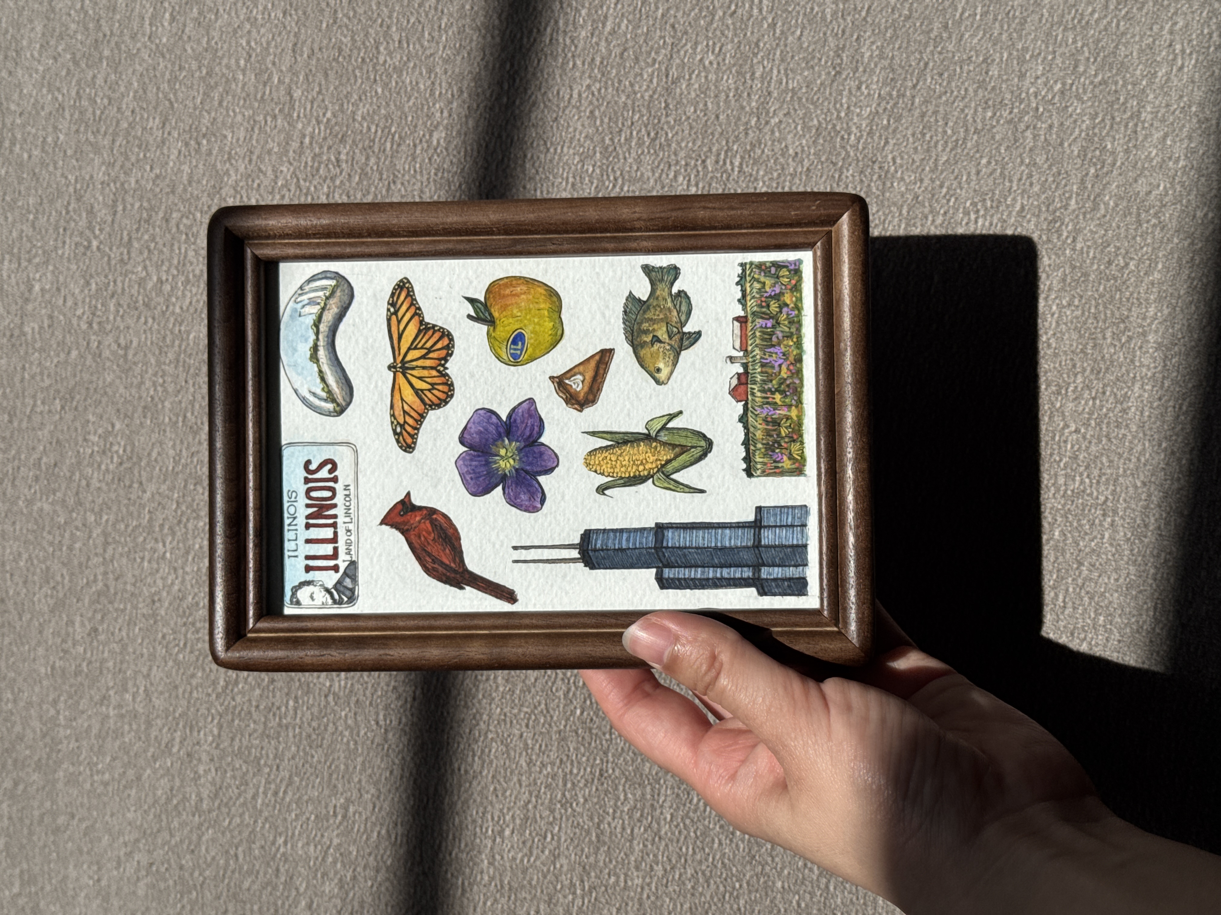 Illinois State Symbols - 4x6 Original