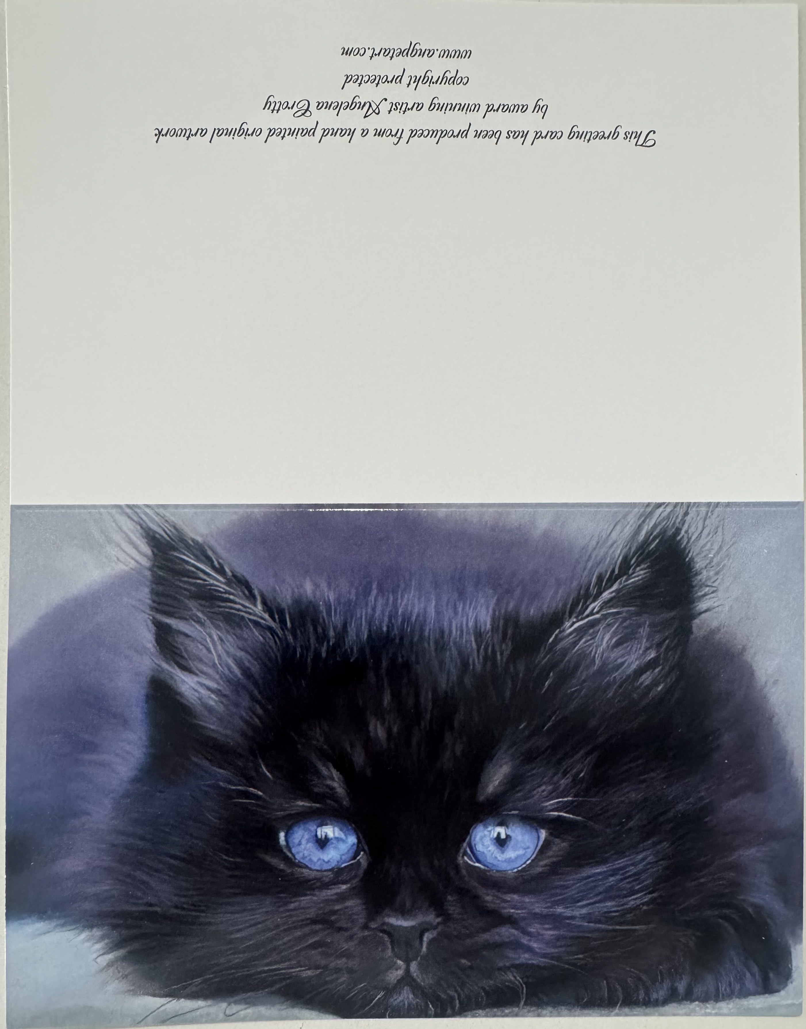 Black cat greeting card