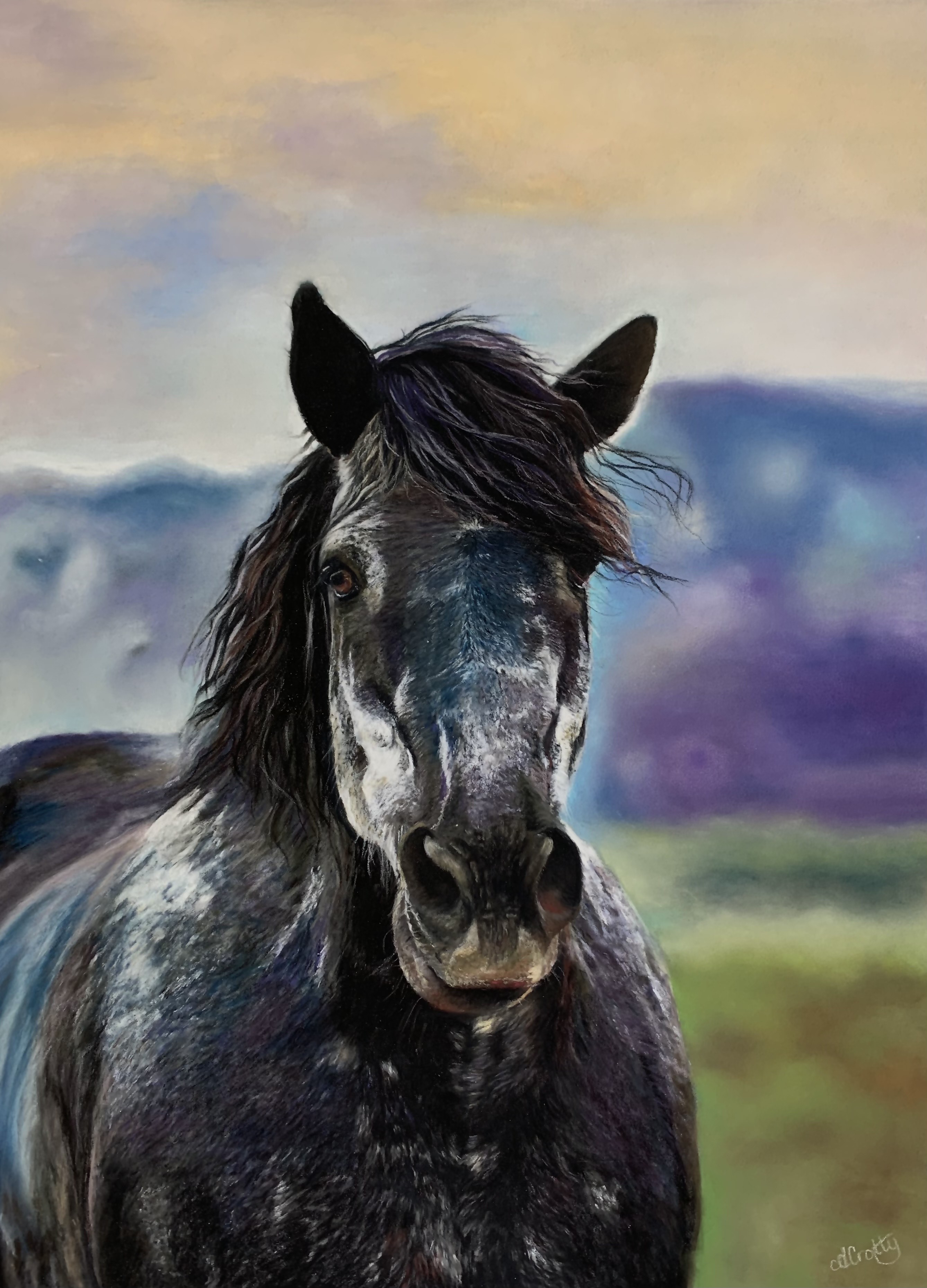Horse