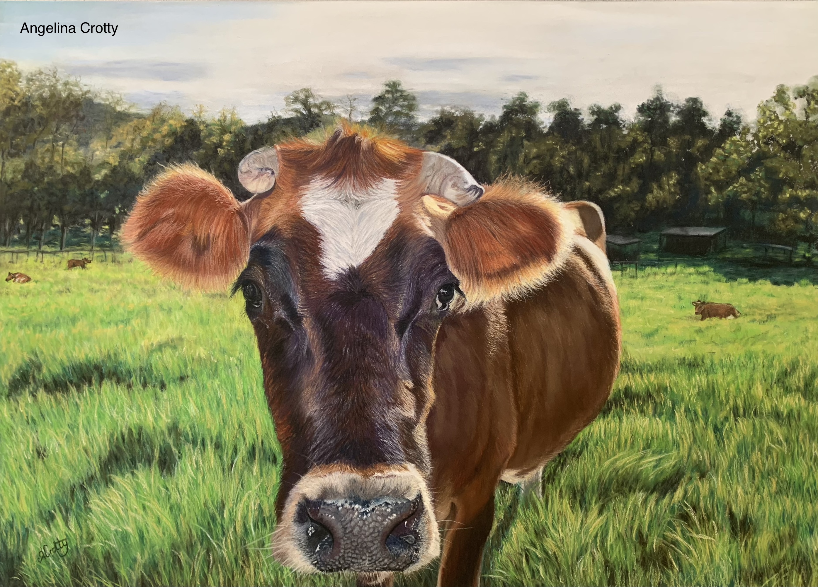 Good Moo-orning