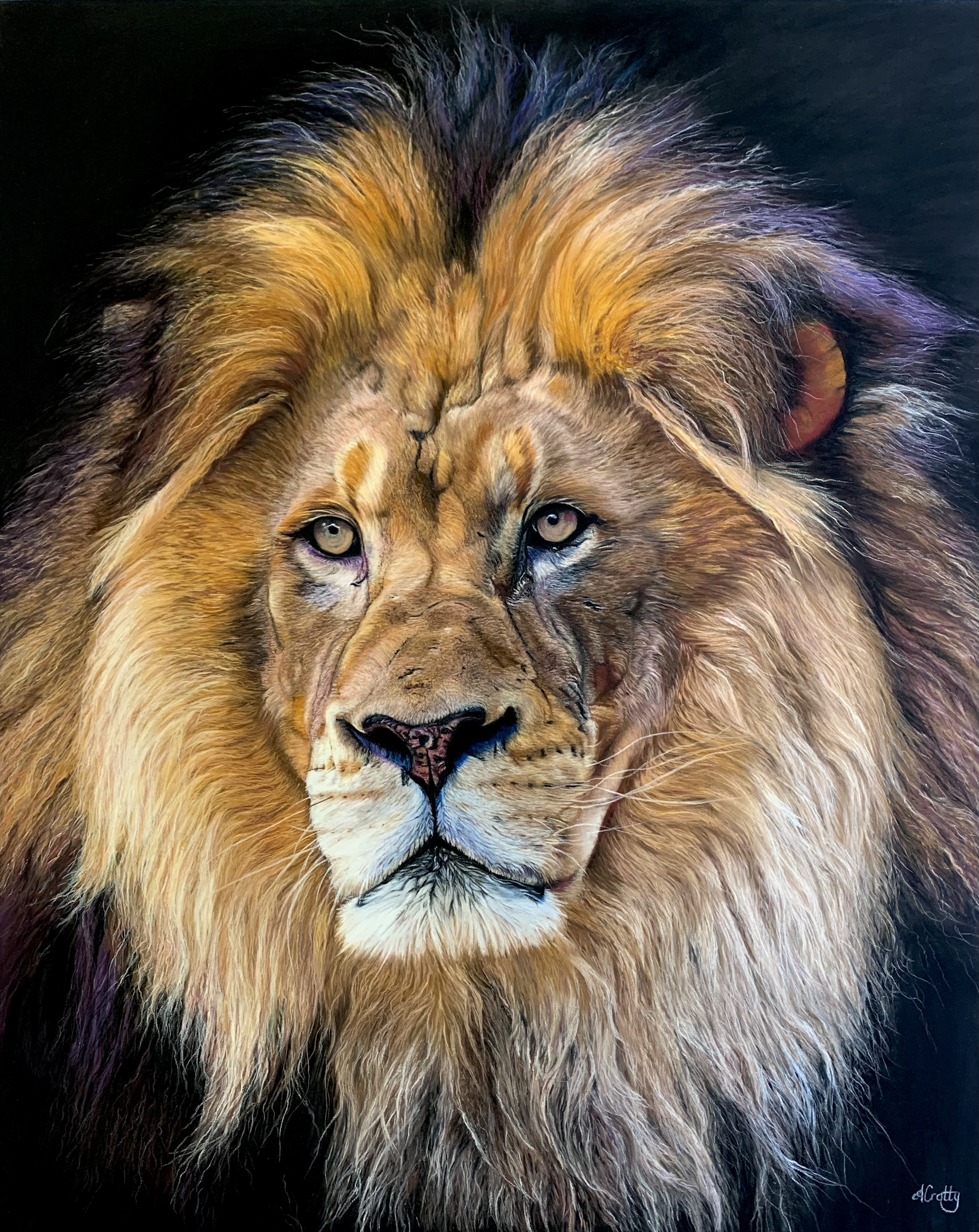Jungle King
