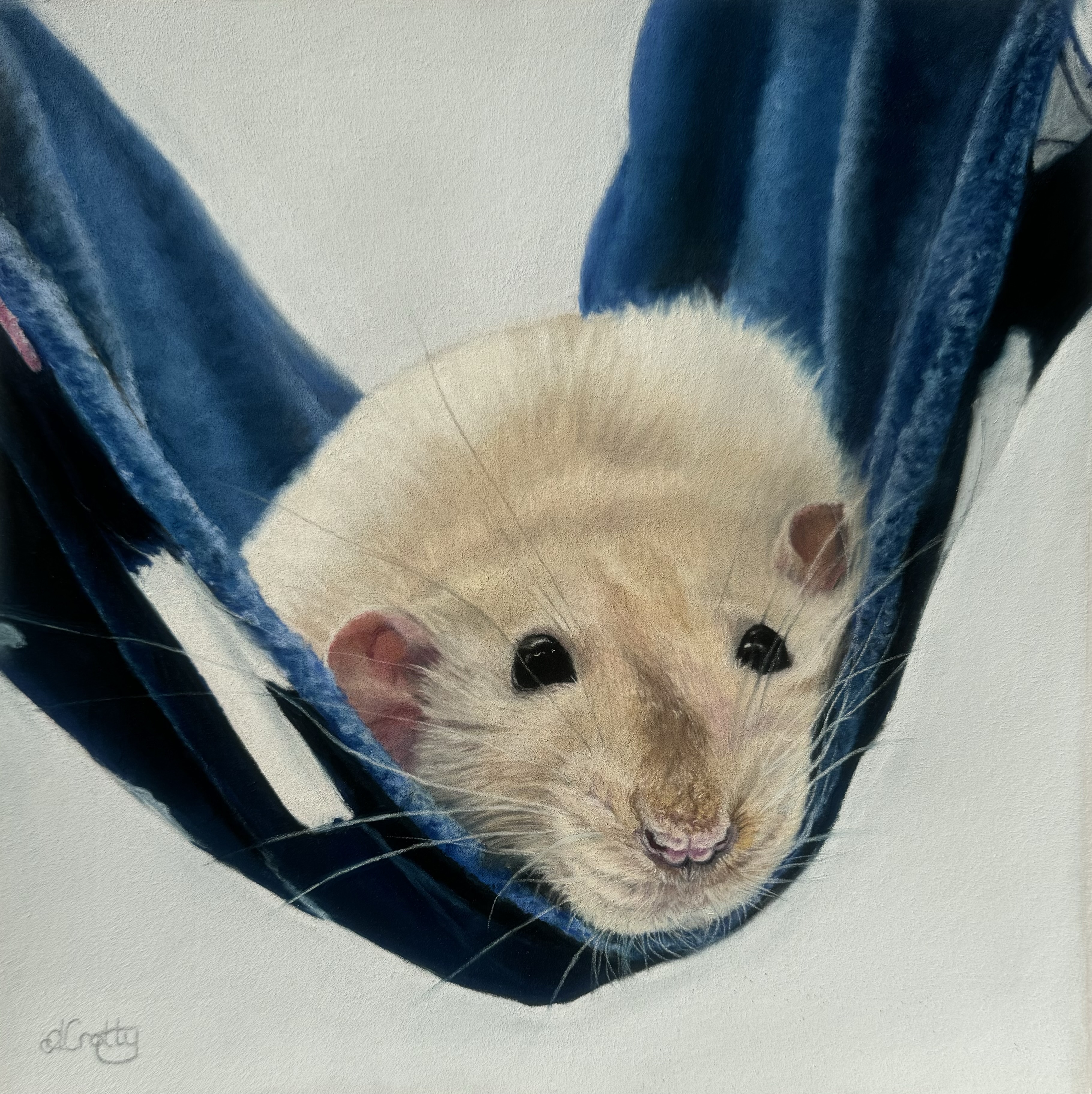 Just Hanging