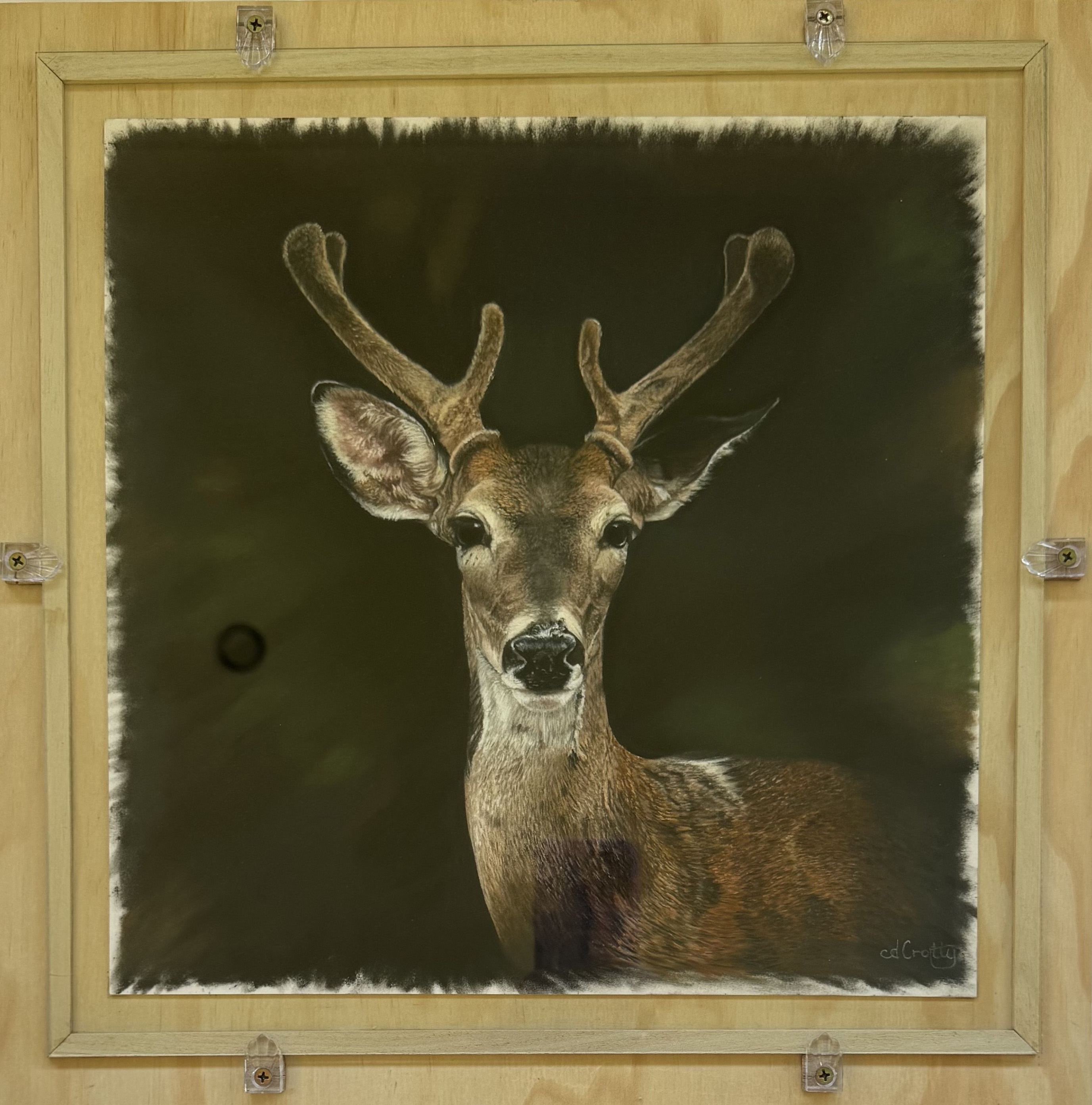 Hello Deer