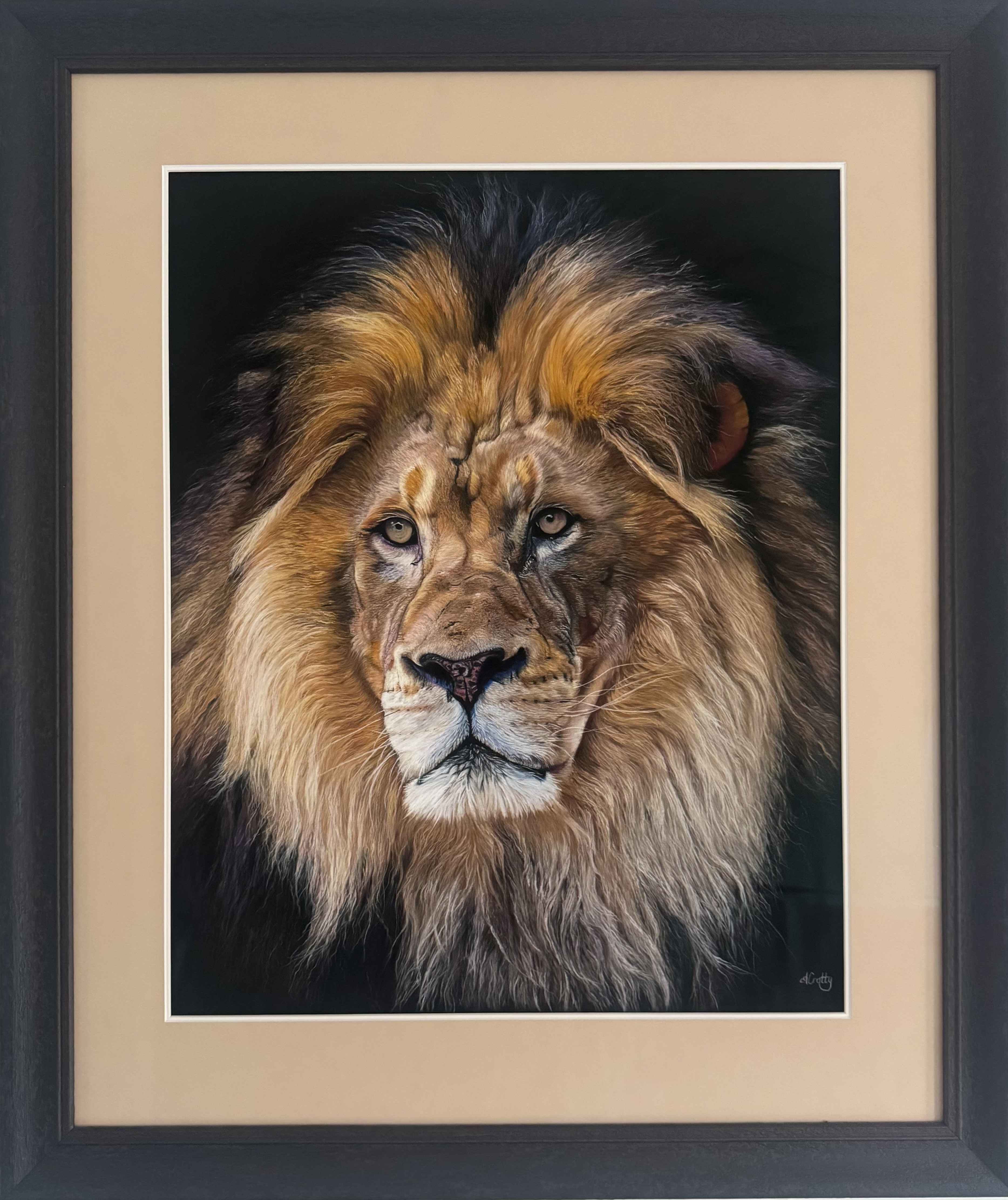 Jungle King
